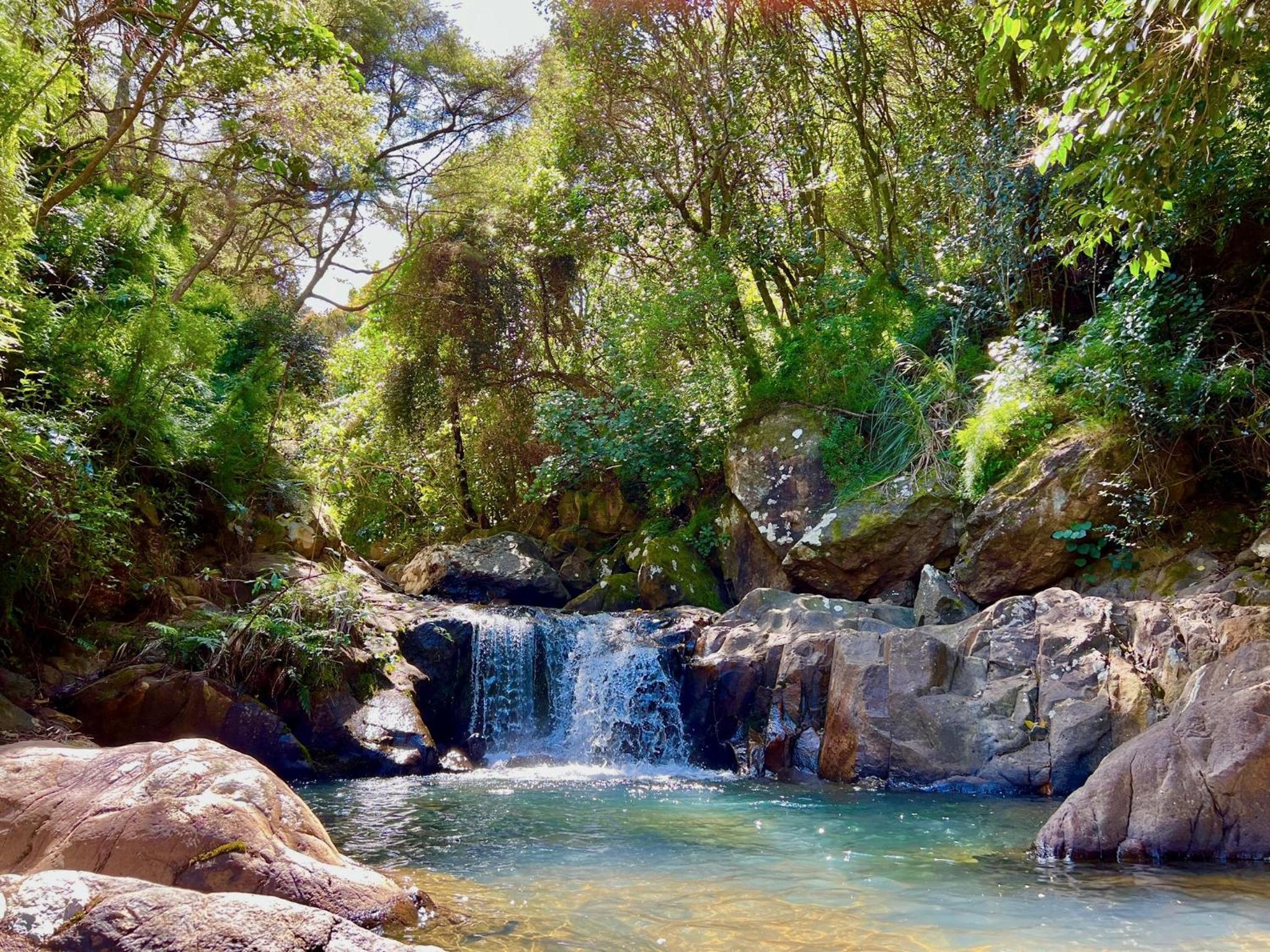 Fantail Hill