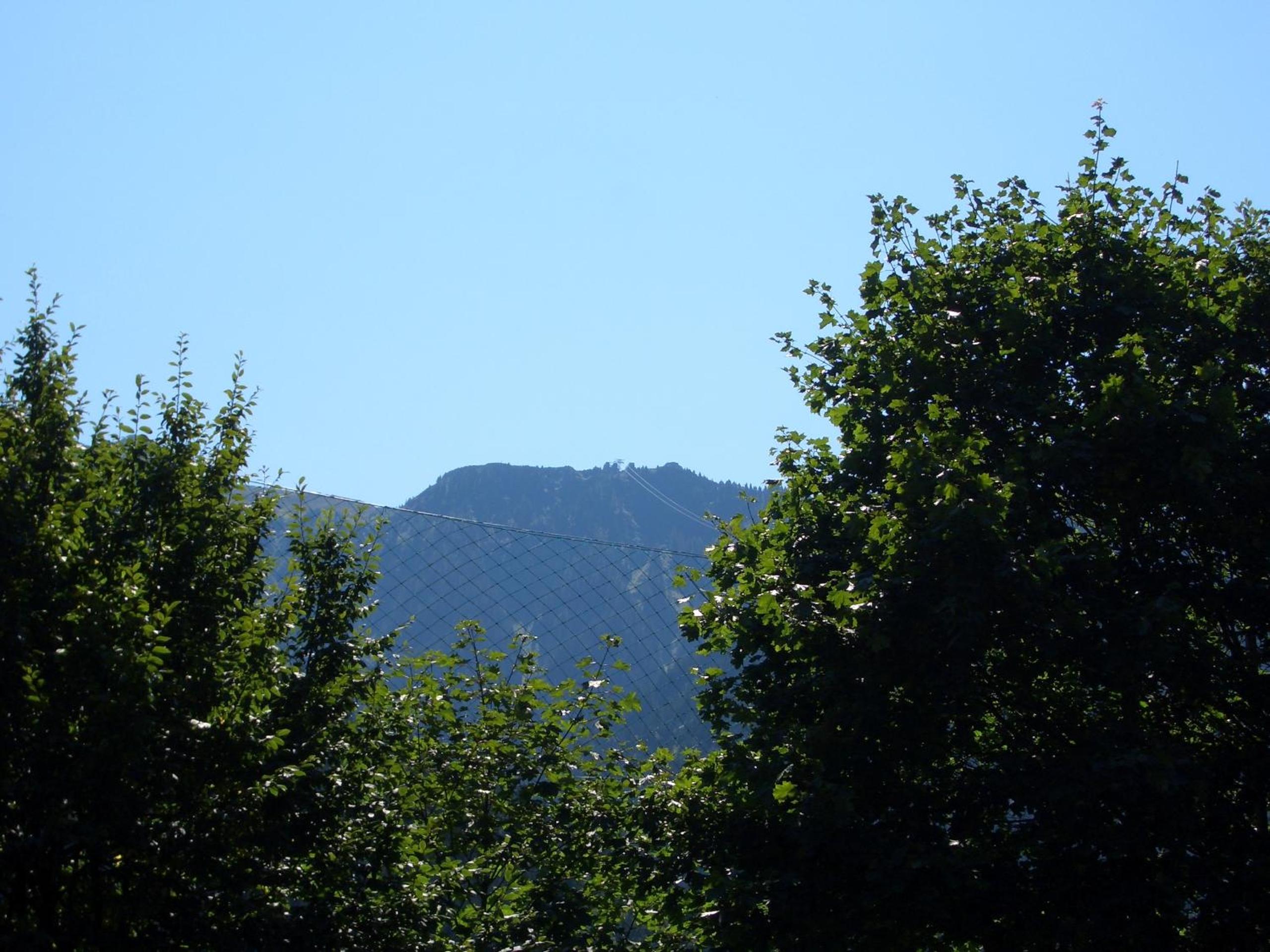 Photo 31