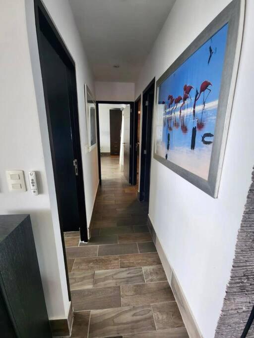 •Amazing Beachfront Condo•