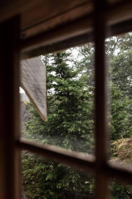 SABI Award Winning Designer Cabin