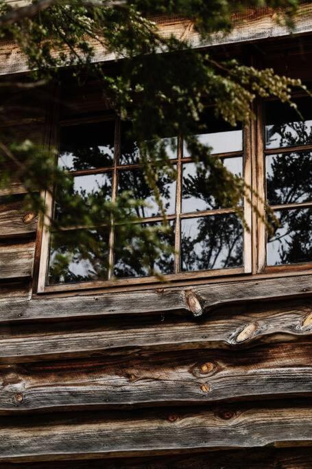 SABI Award Winning Designer Cabin