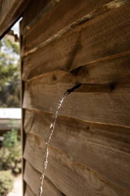 SABI Award Winning Designer Cabin