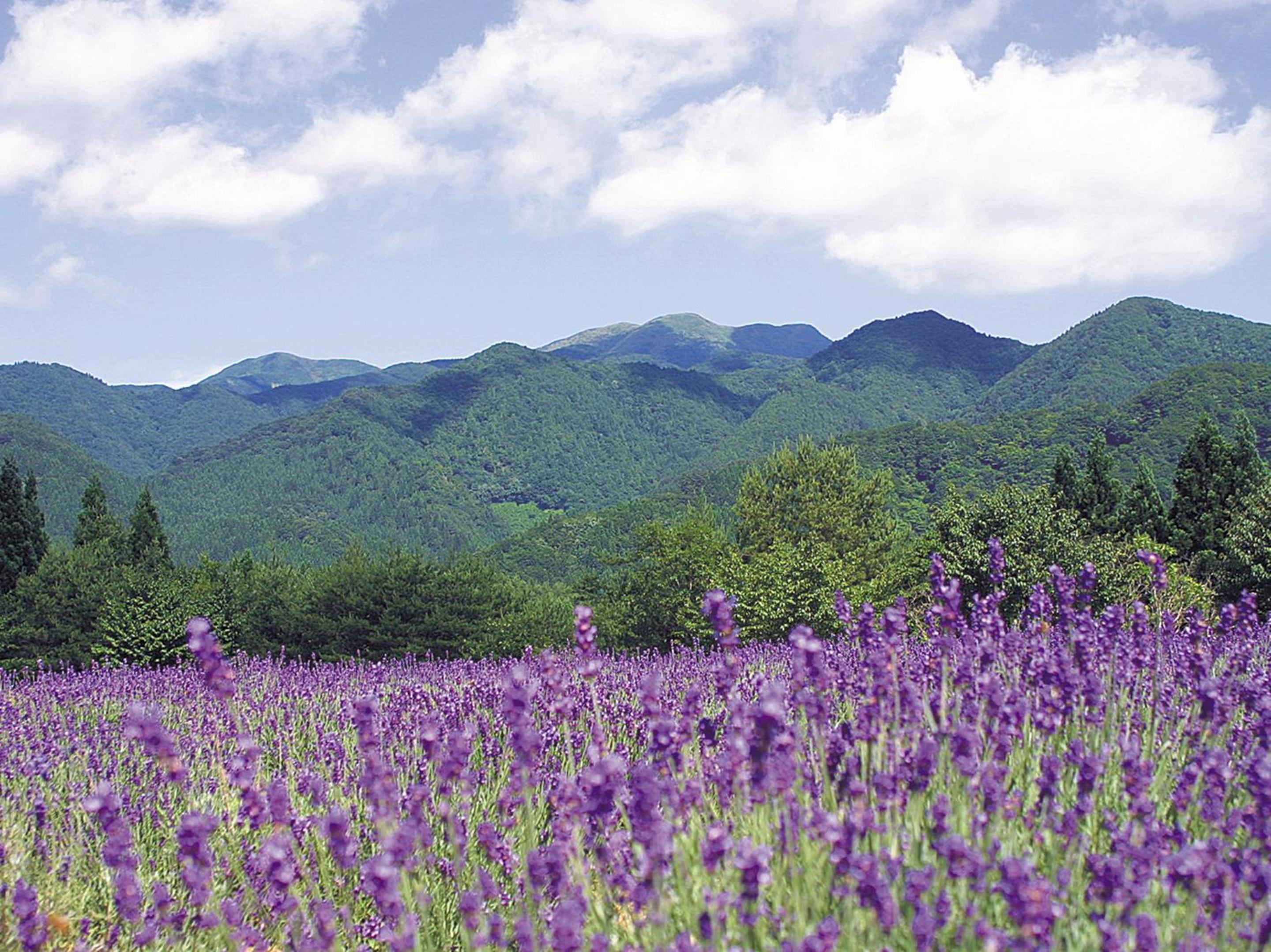 Attakayama Onsen