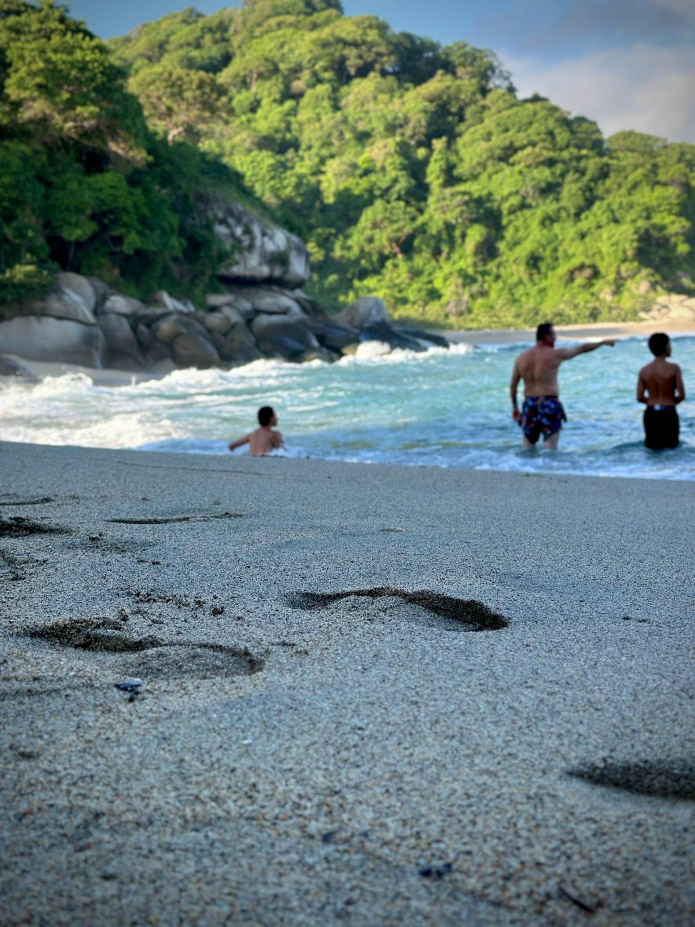Eco Hotel Amanecer Tayrona Dentro del Parque Tayrona Inside Tayrona Park