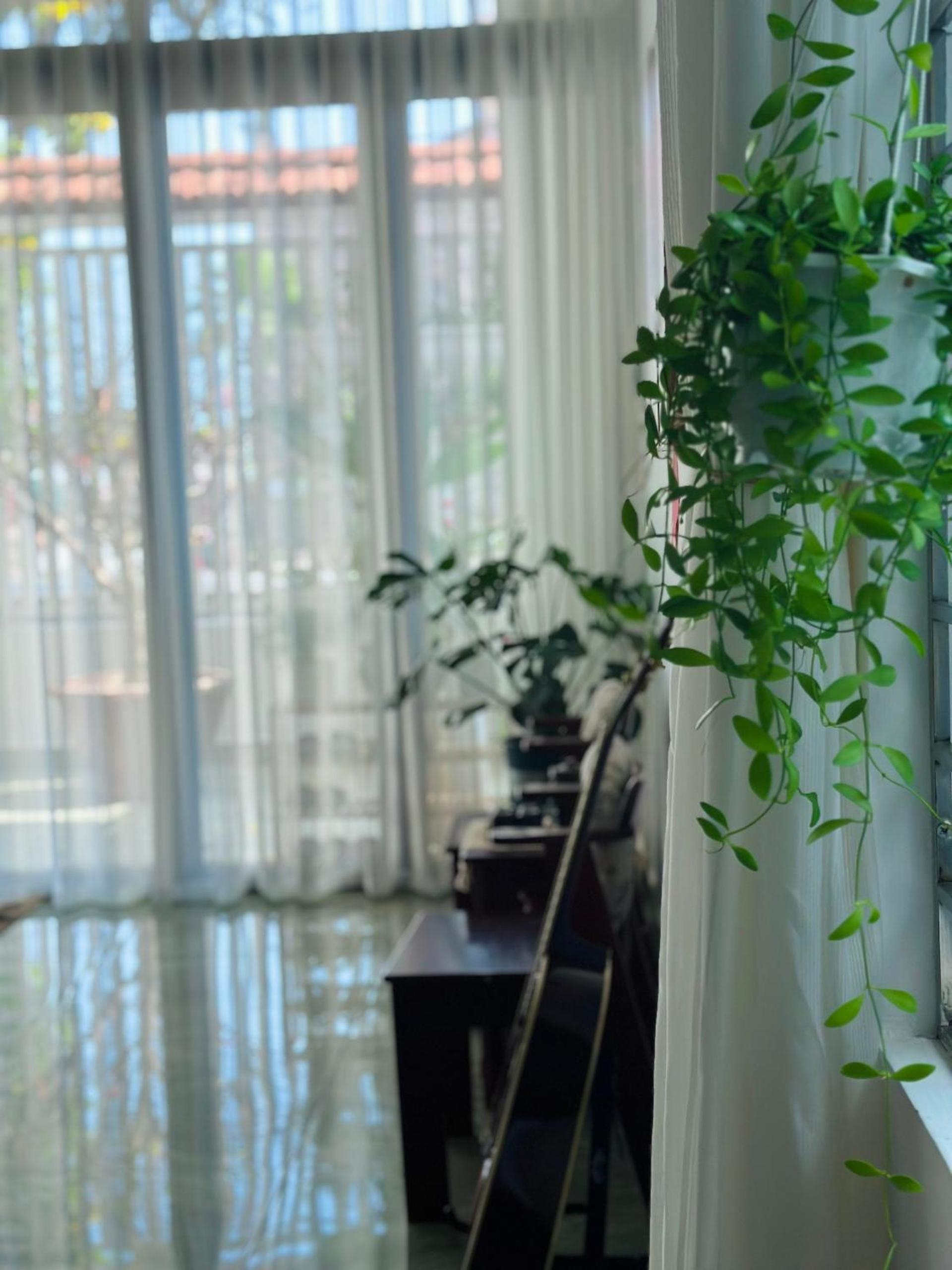 Photo 40
