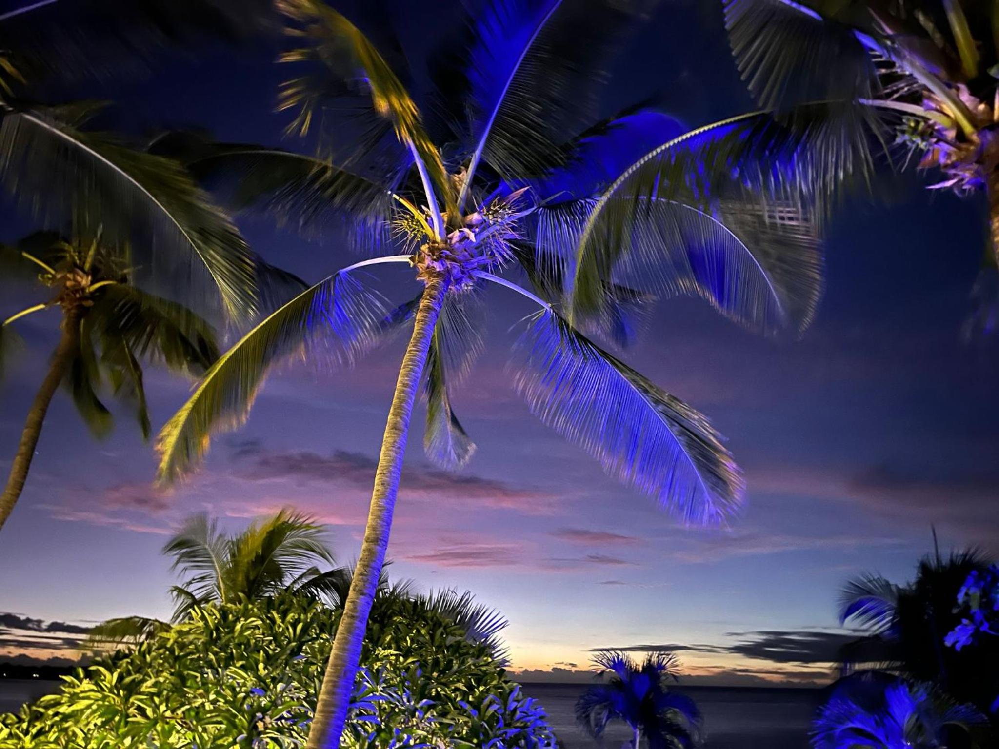 La Maison de la plage - Guest House