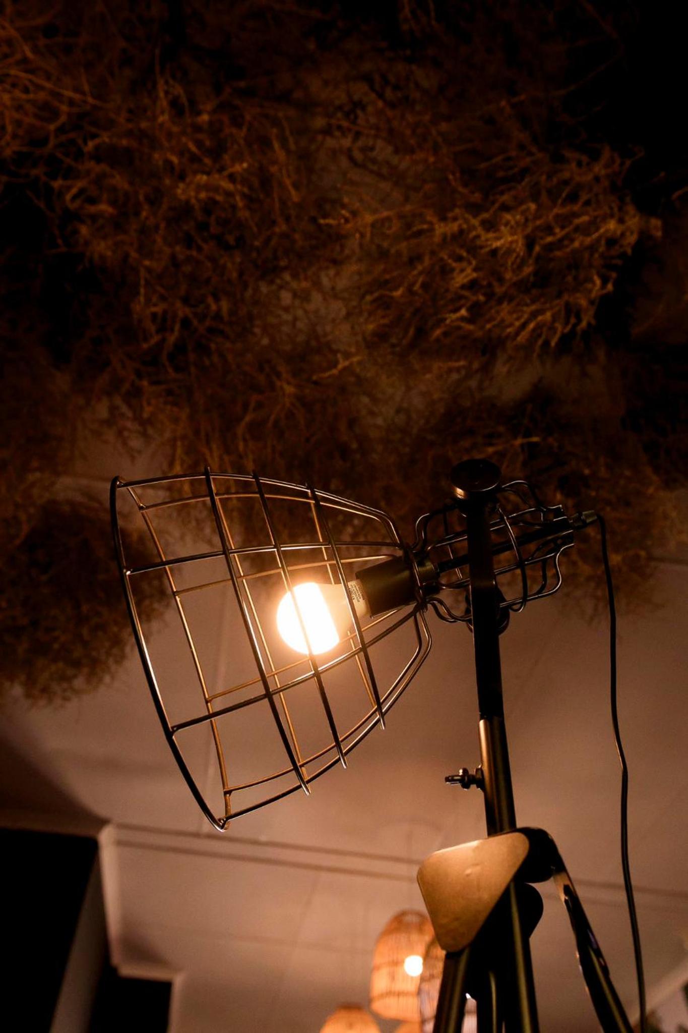 Photo 41