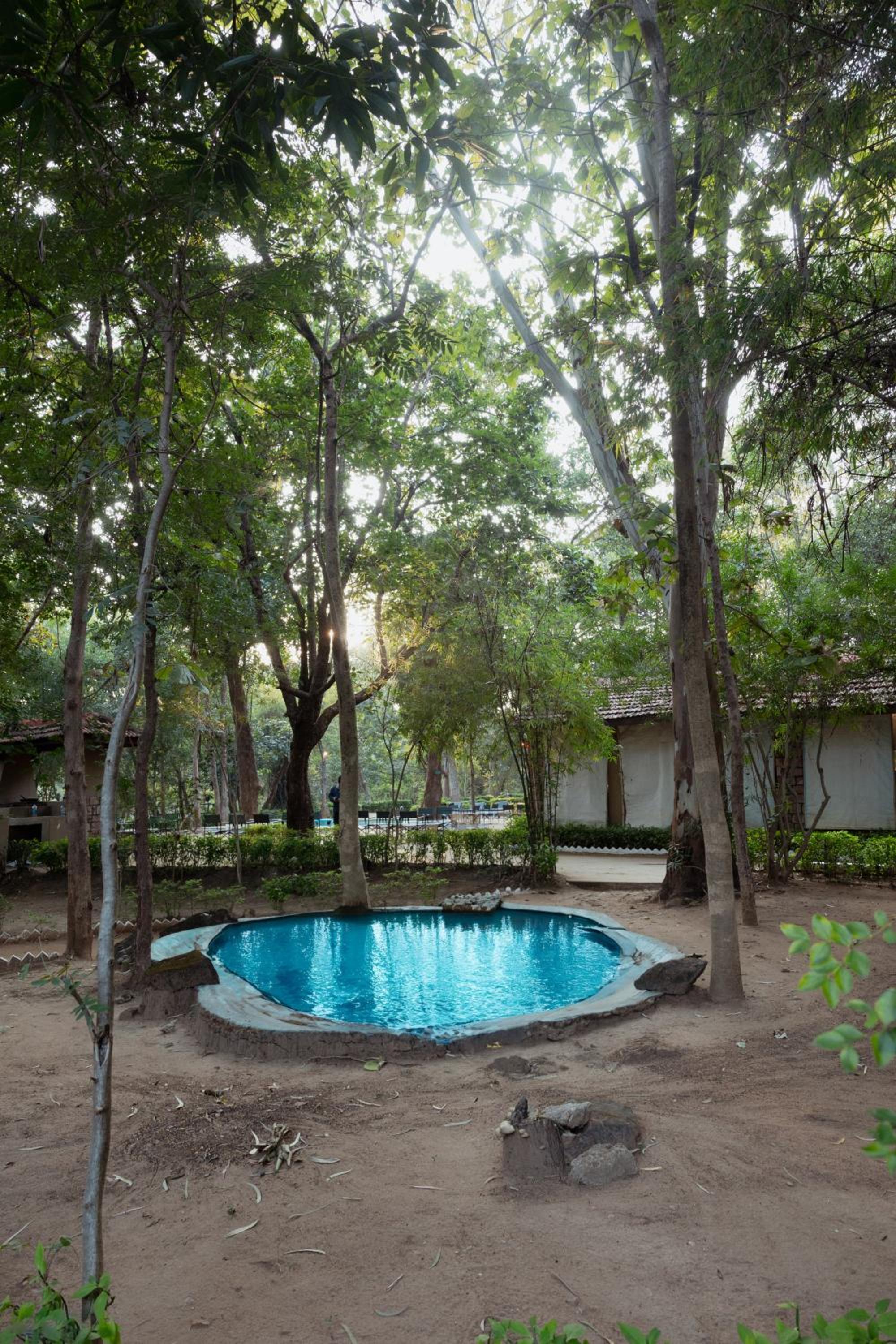 Tiger Trails Resort