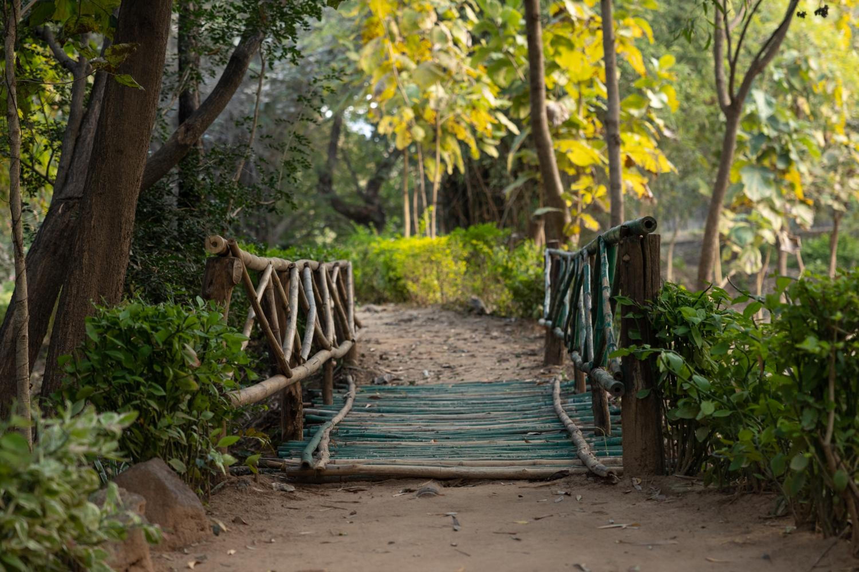 Tiger Trails Resort