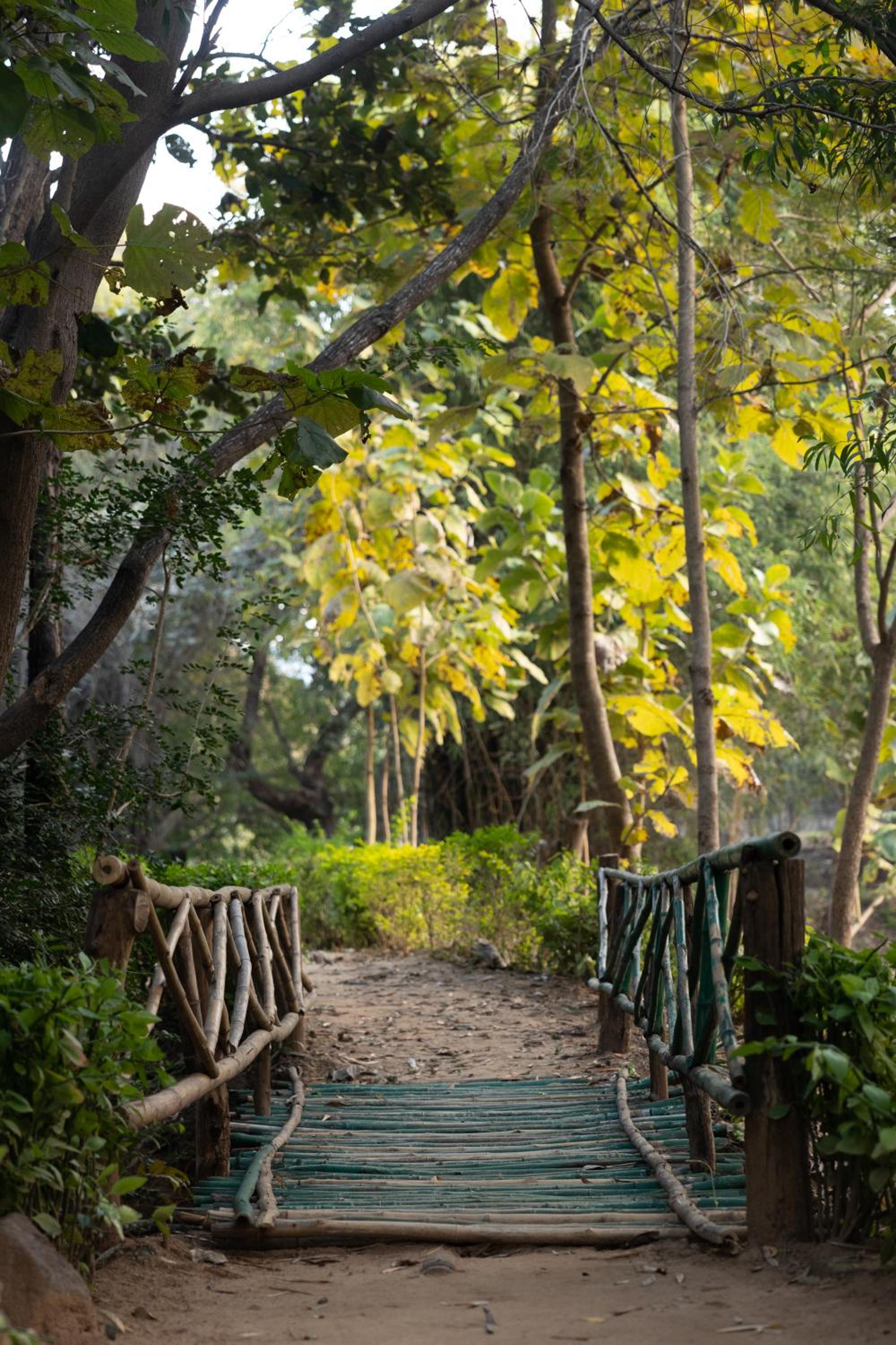 Tiger Trails Resort