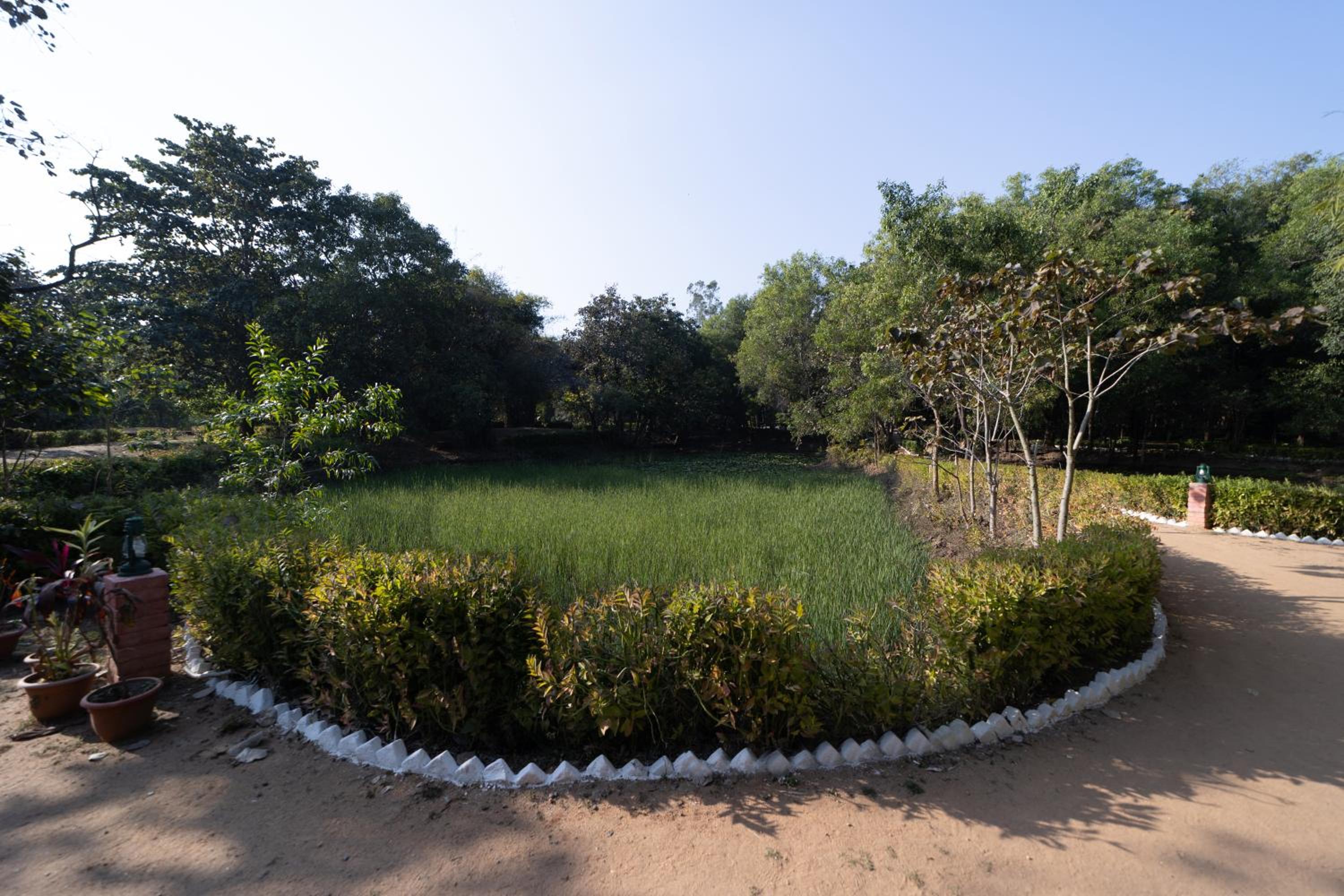 Tiger Trails Resort
