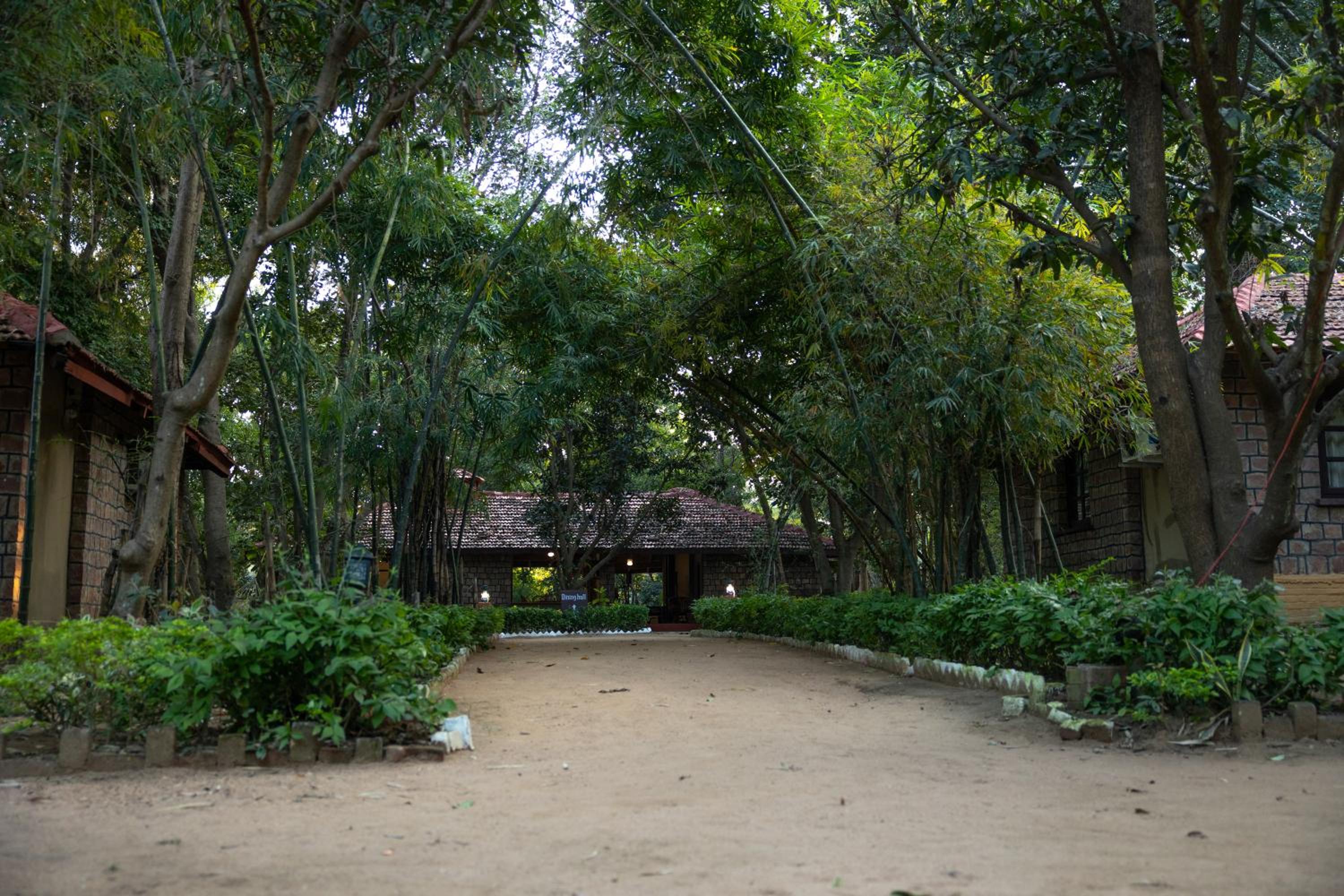 Tiger Trails Resort