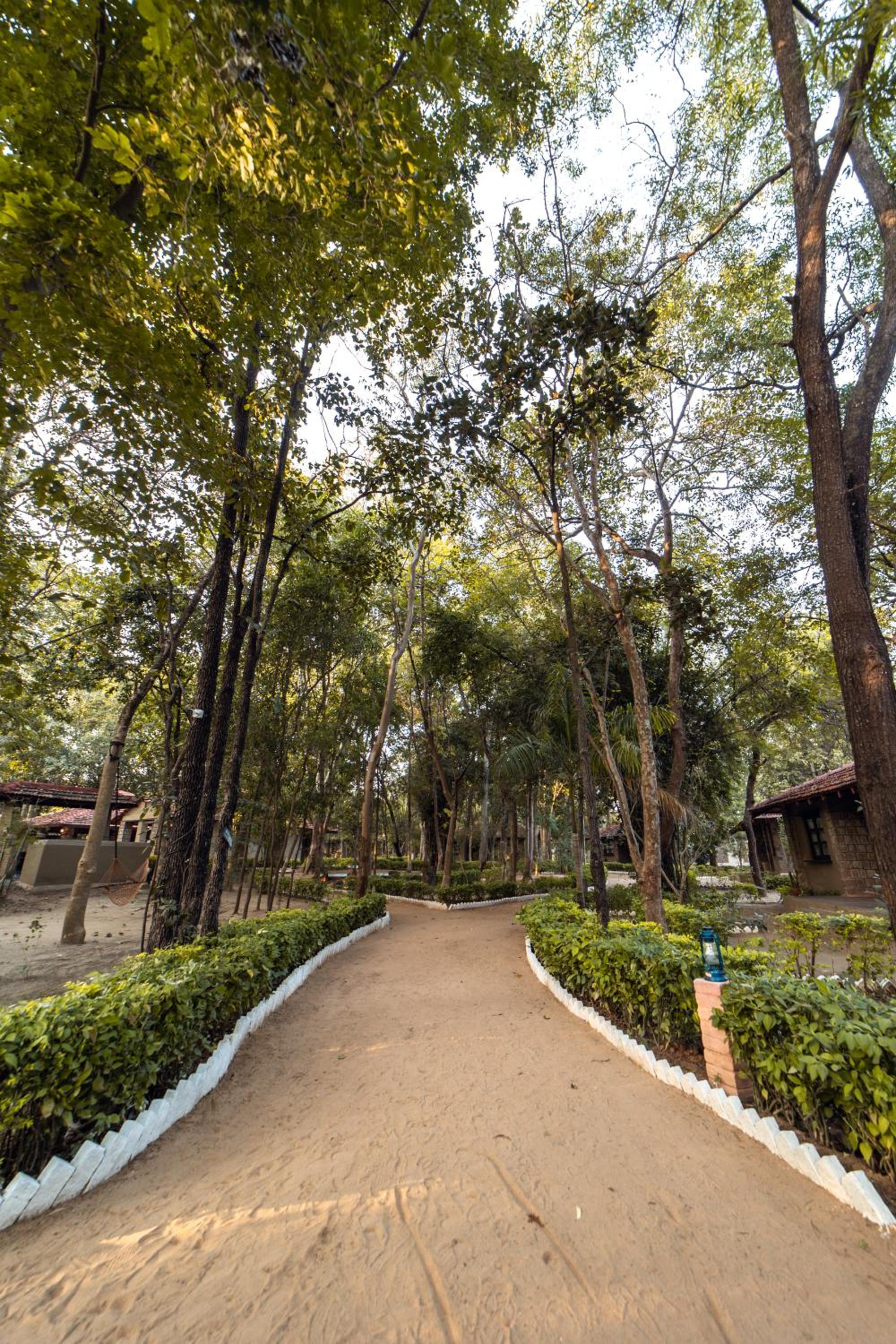 Tiger Trails Resort