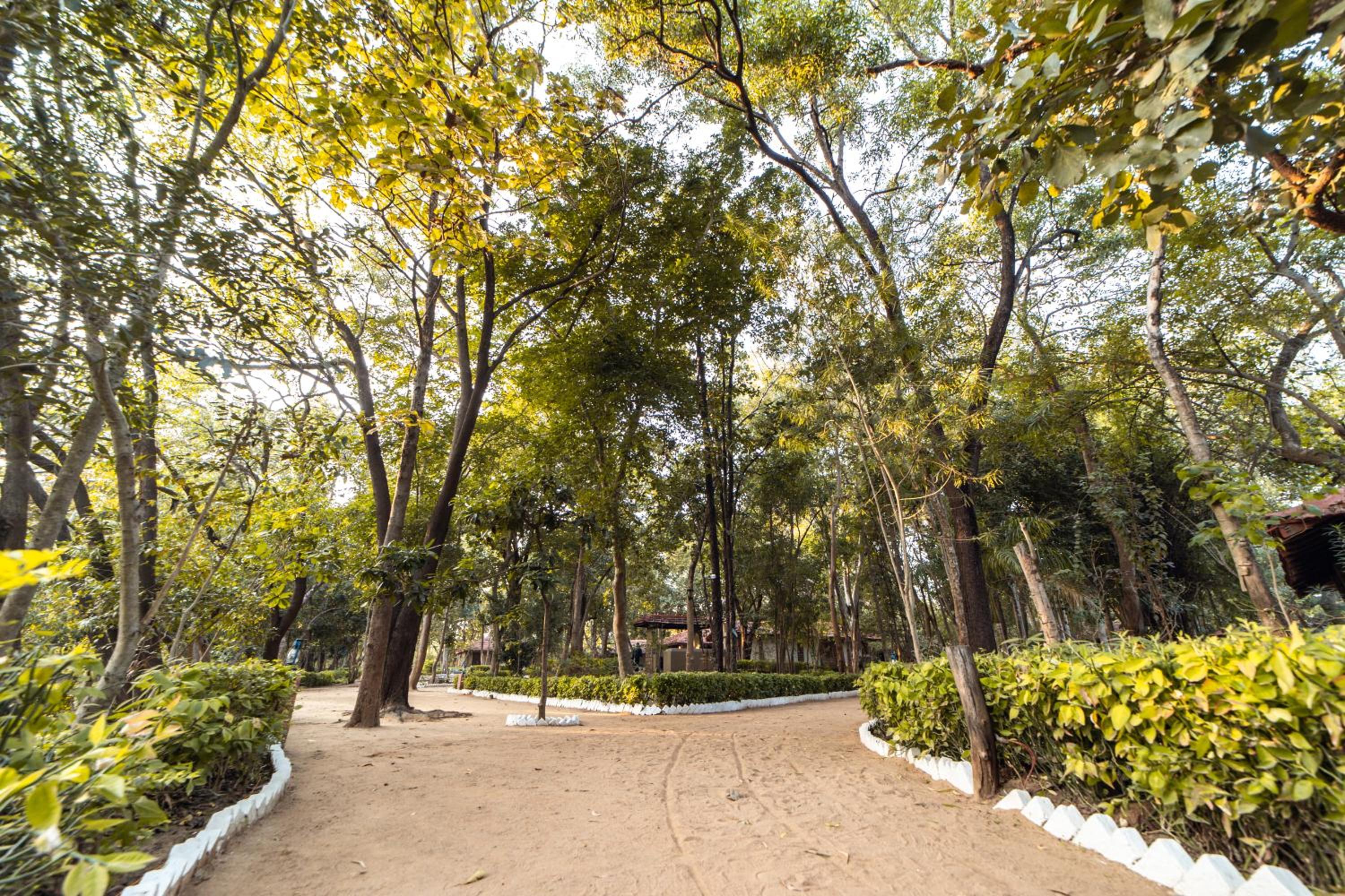 Tiger Trails Resort