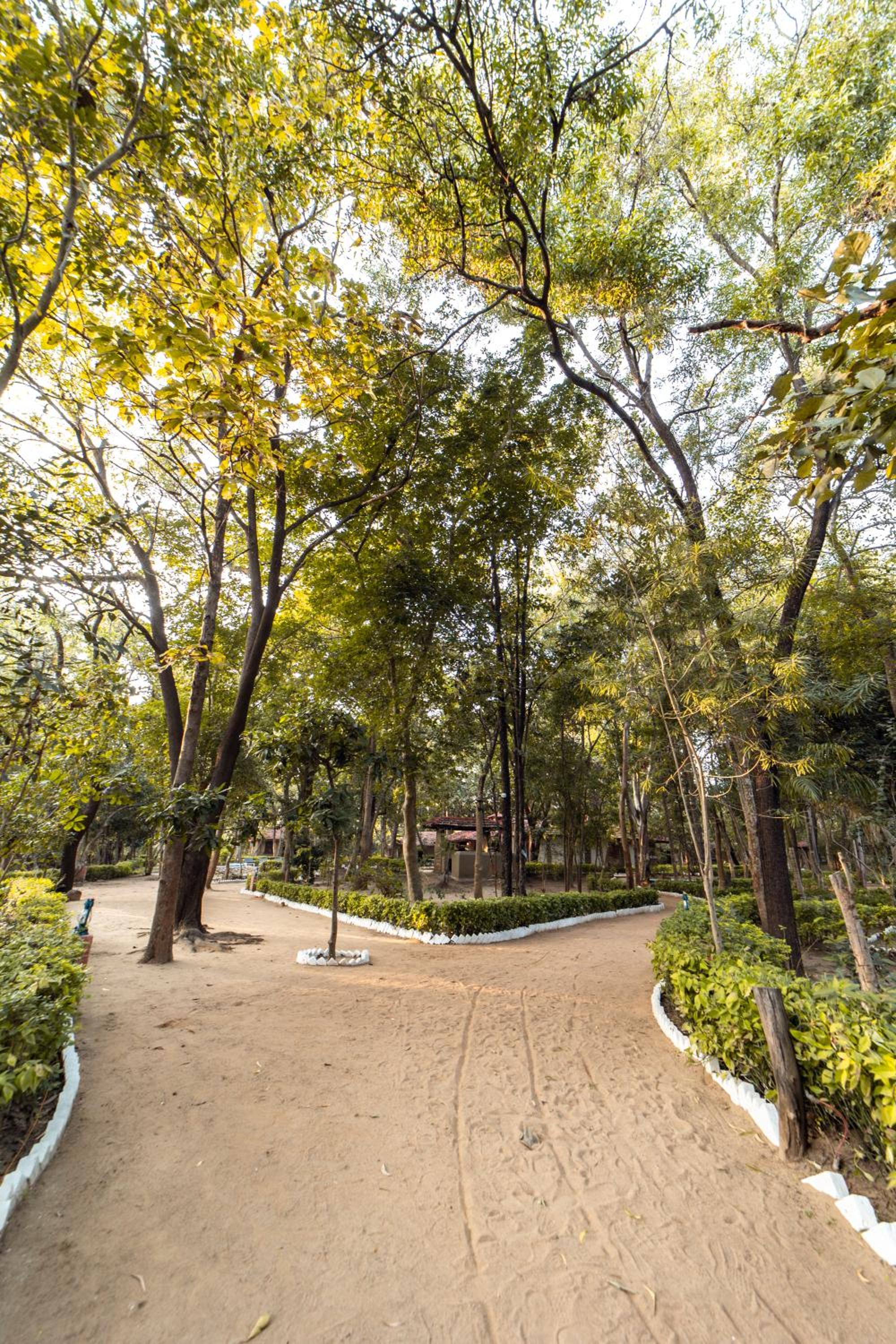 Tiger Trails Resort