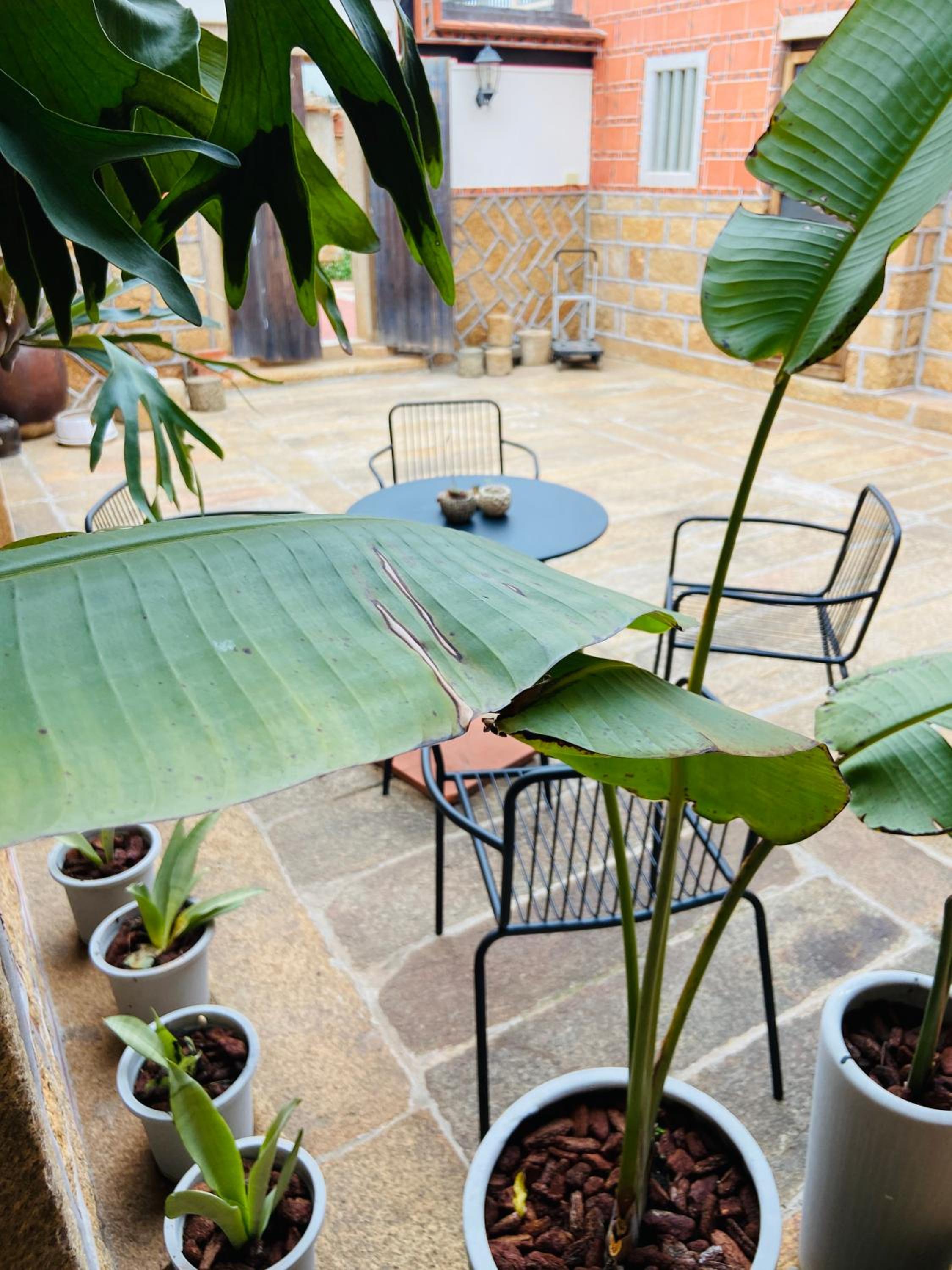 Wuzou Guesthouse