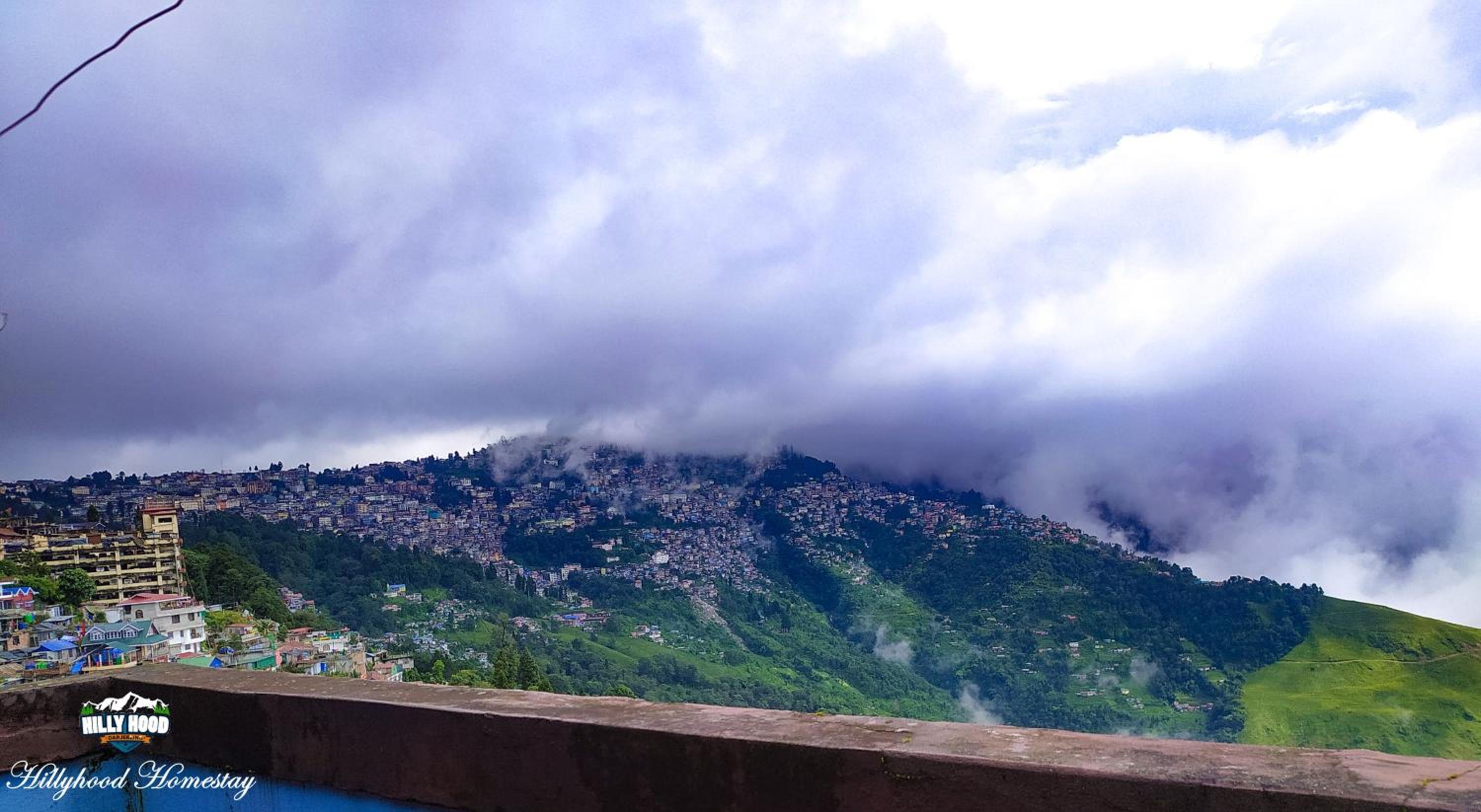 HILLYHOOD HOMESTAY