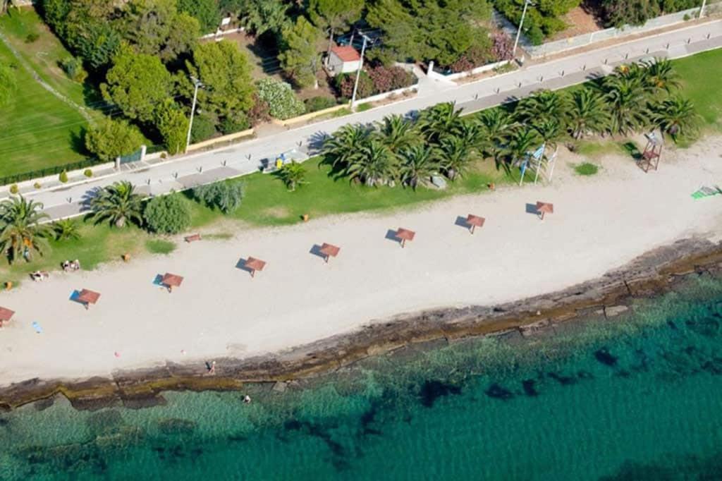 A Private Garden Villa near Athens Airport and the Beach view 2