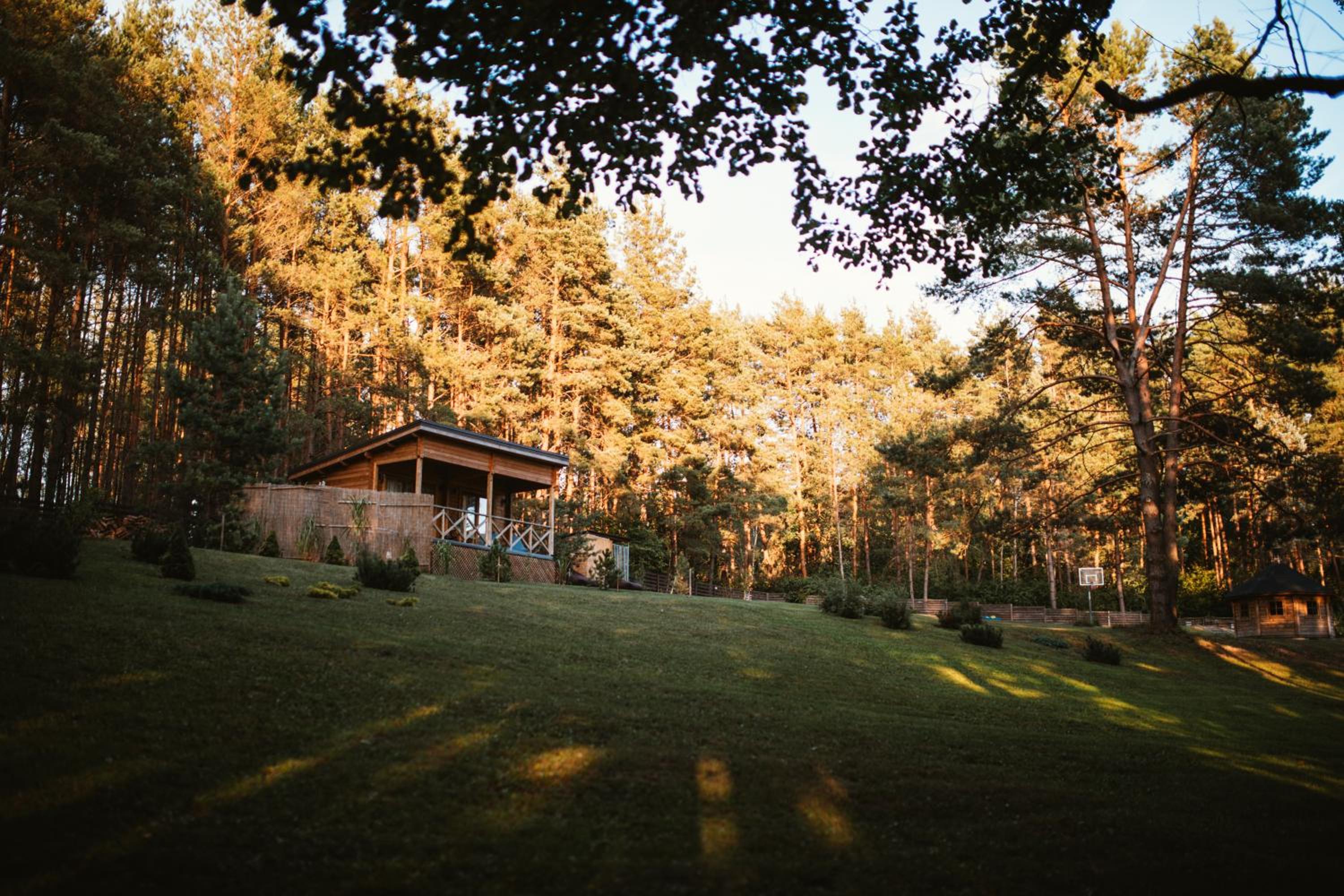 Miško kraštas view 2