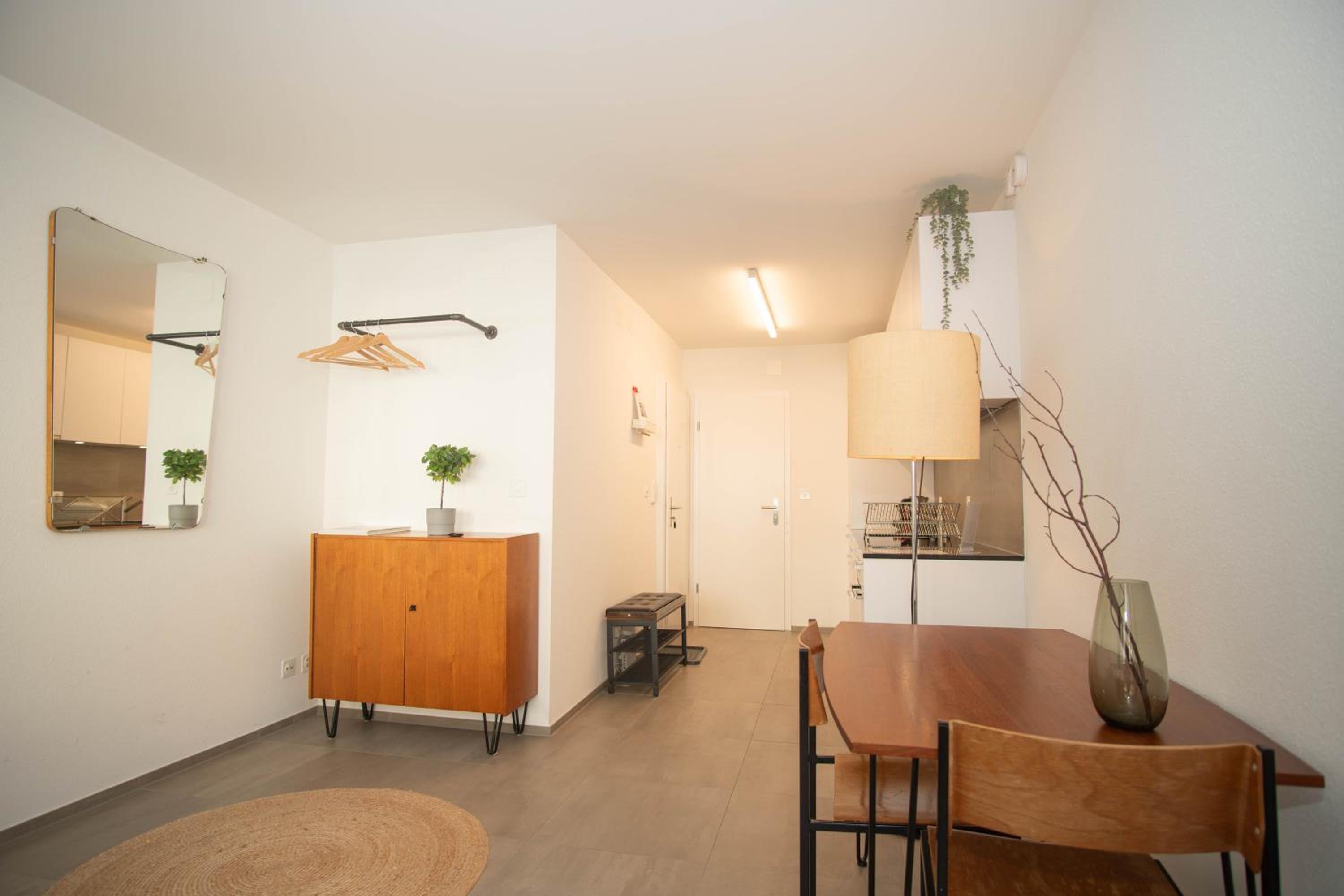 Modern apartment in Basel with free BaselCard