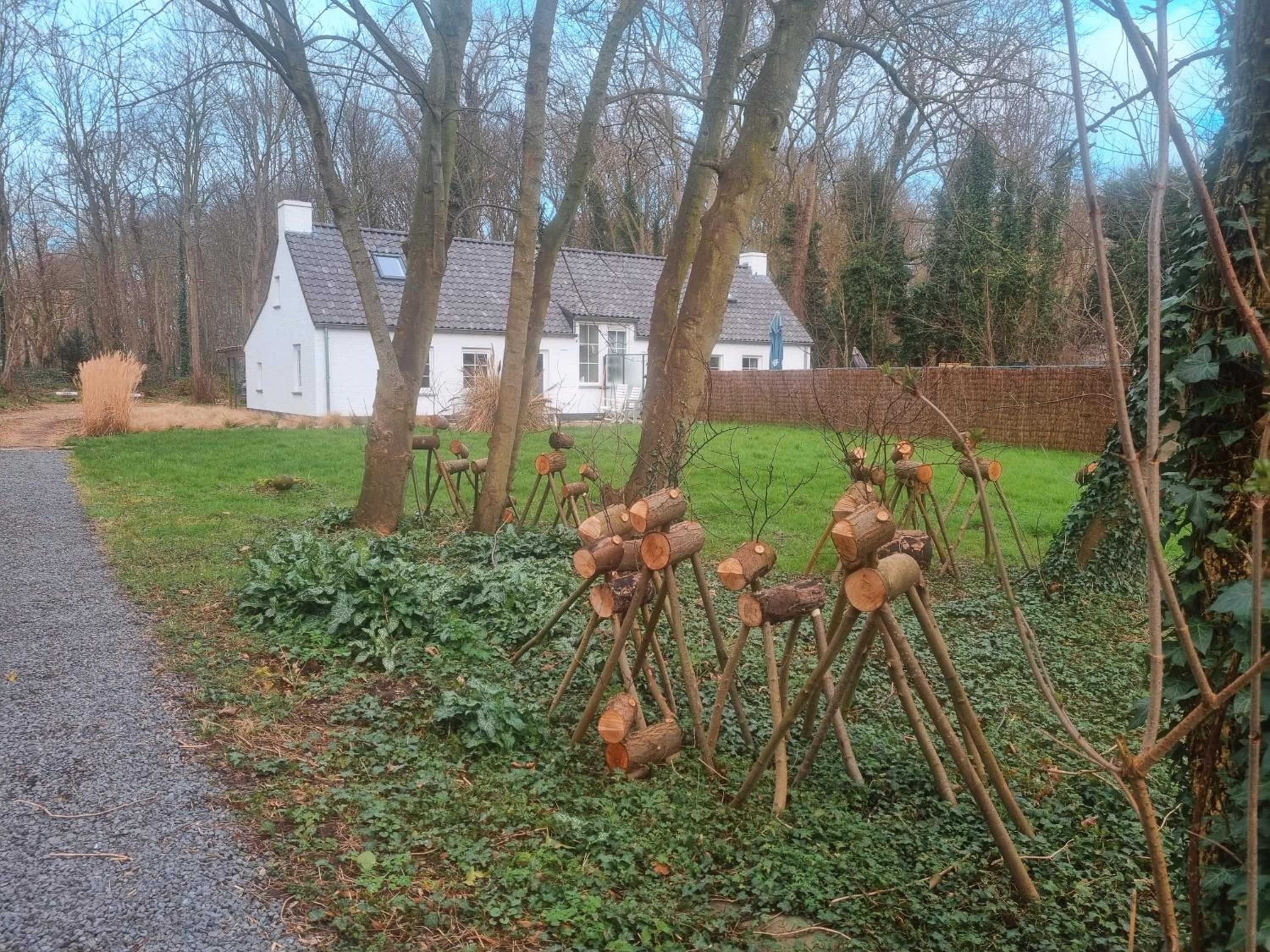 Houtsaegertje