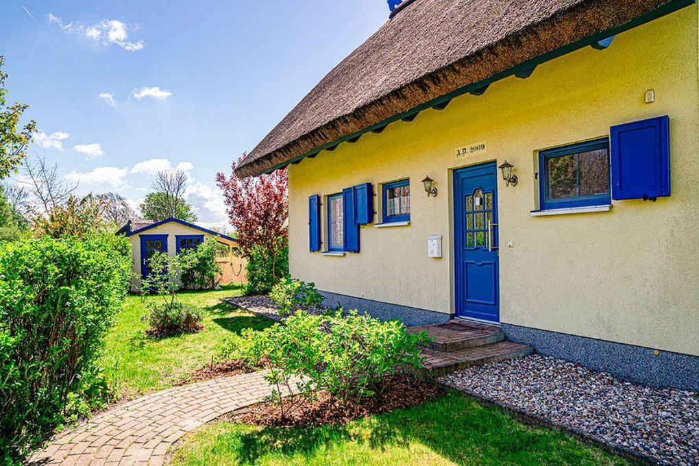 Haus-Dornbusch