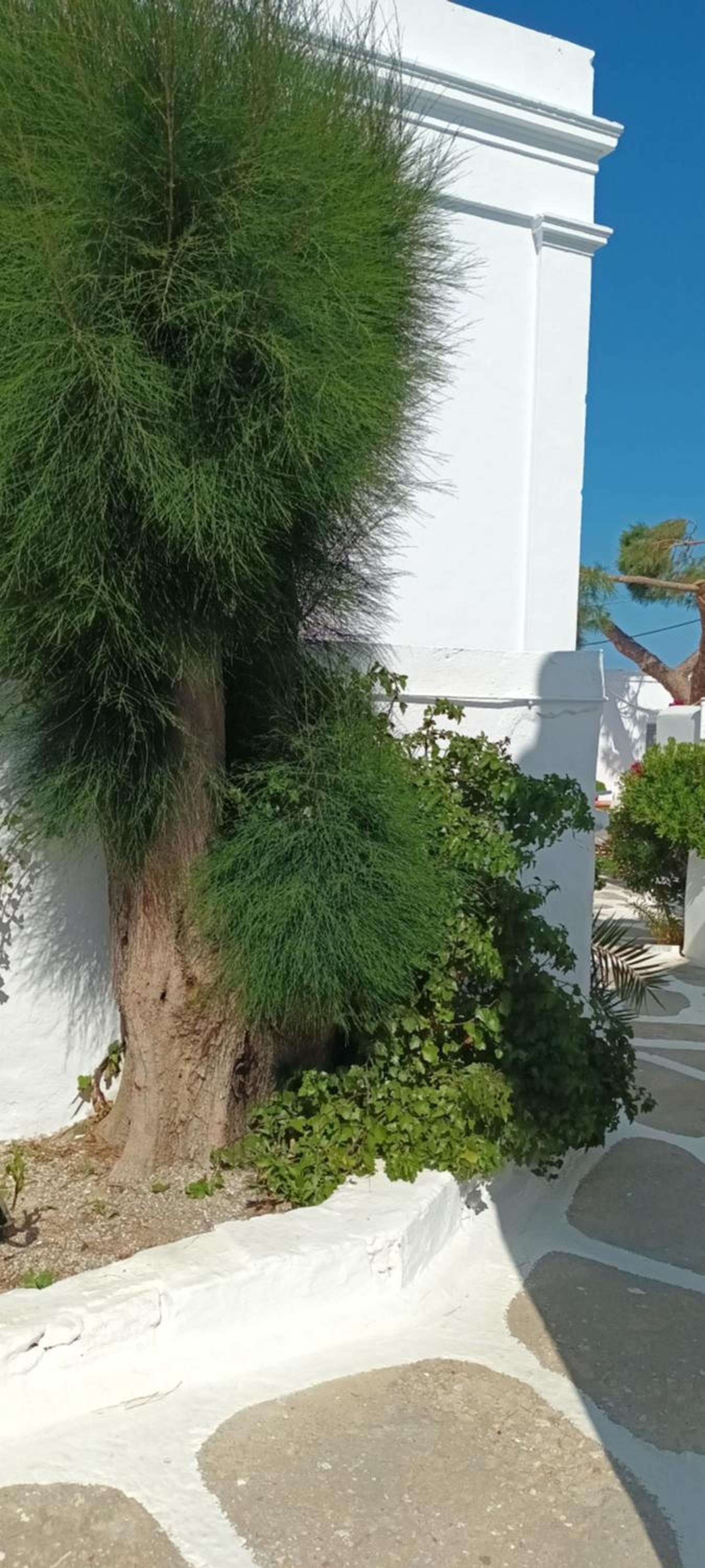 Old Mykonos view 5