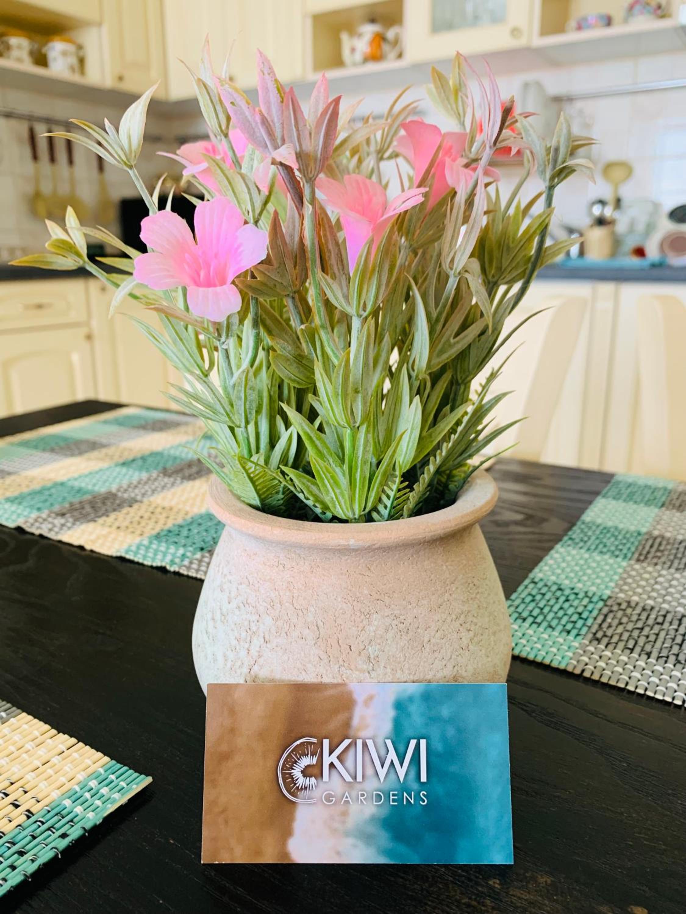 Kiwi Gardens