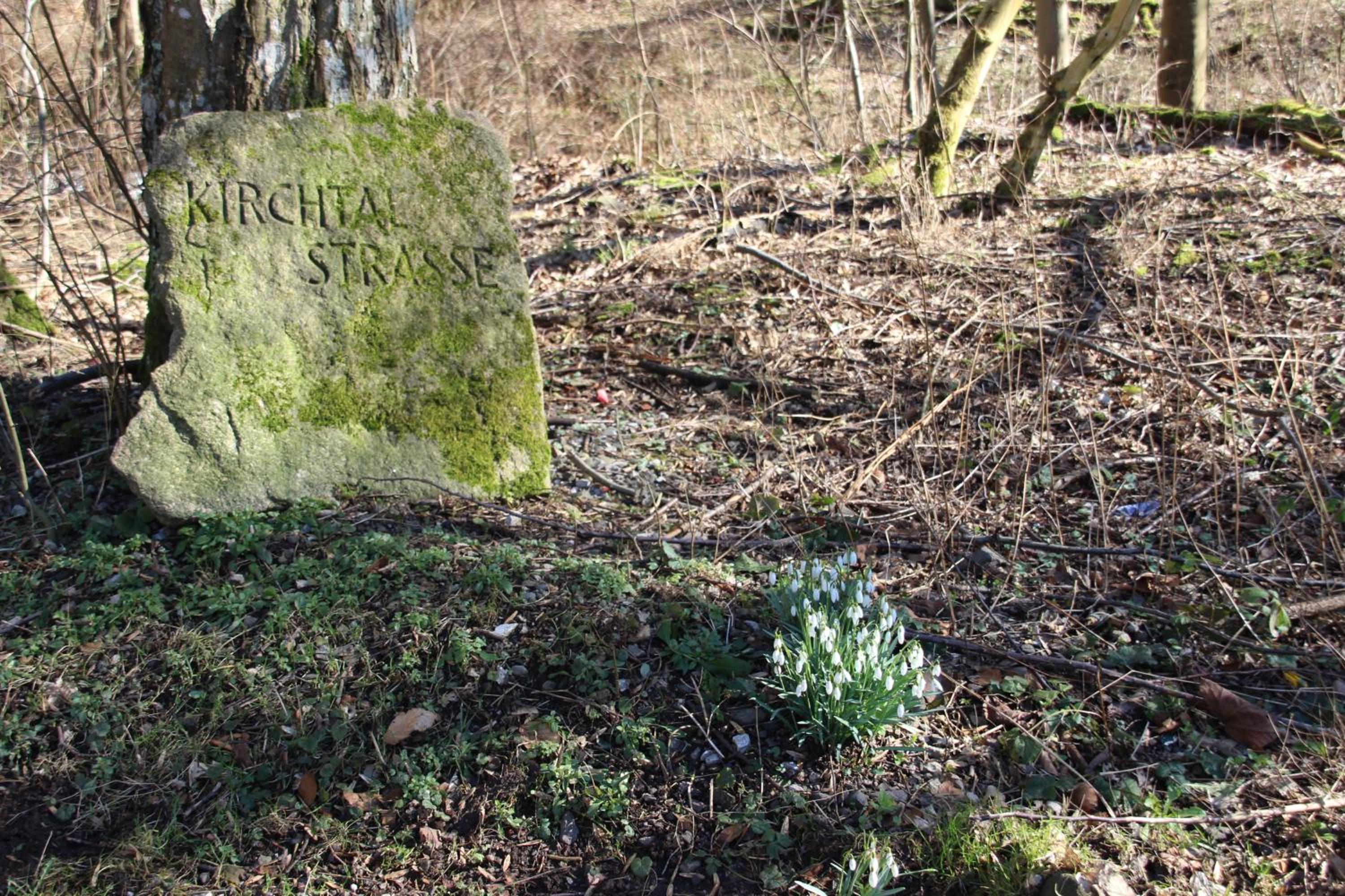 Photo 24