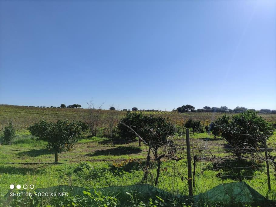Turismo Rural Pedremoura view 4