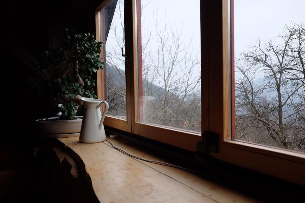 Wooden love nest view 4