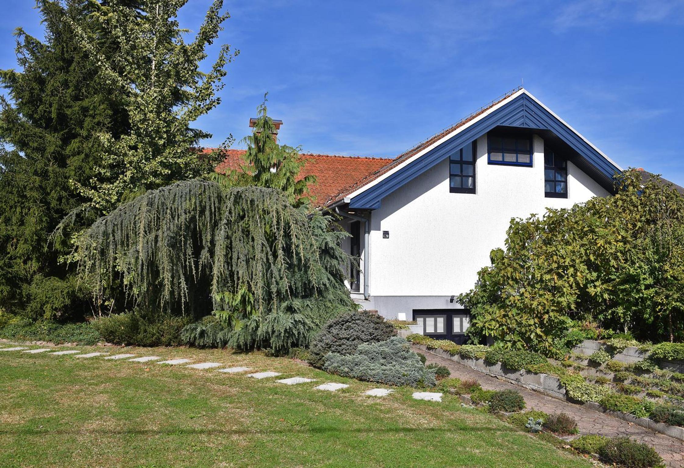 Photo 41