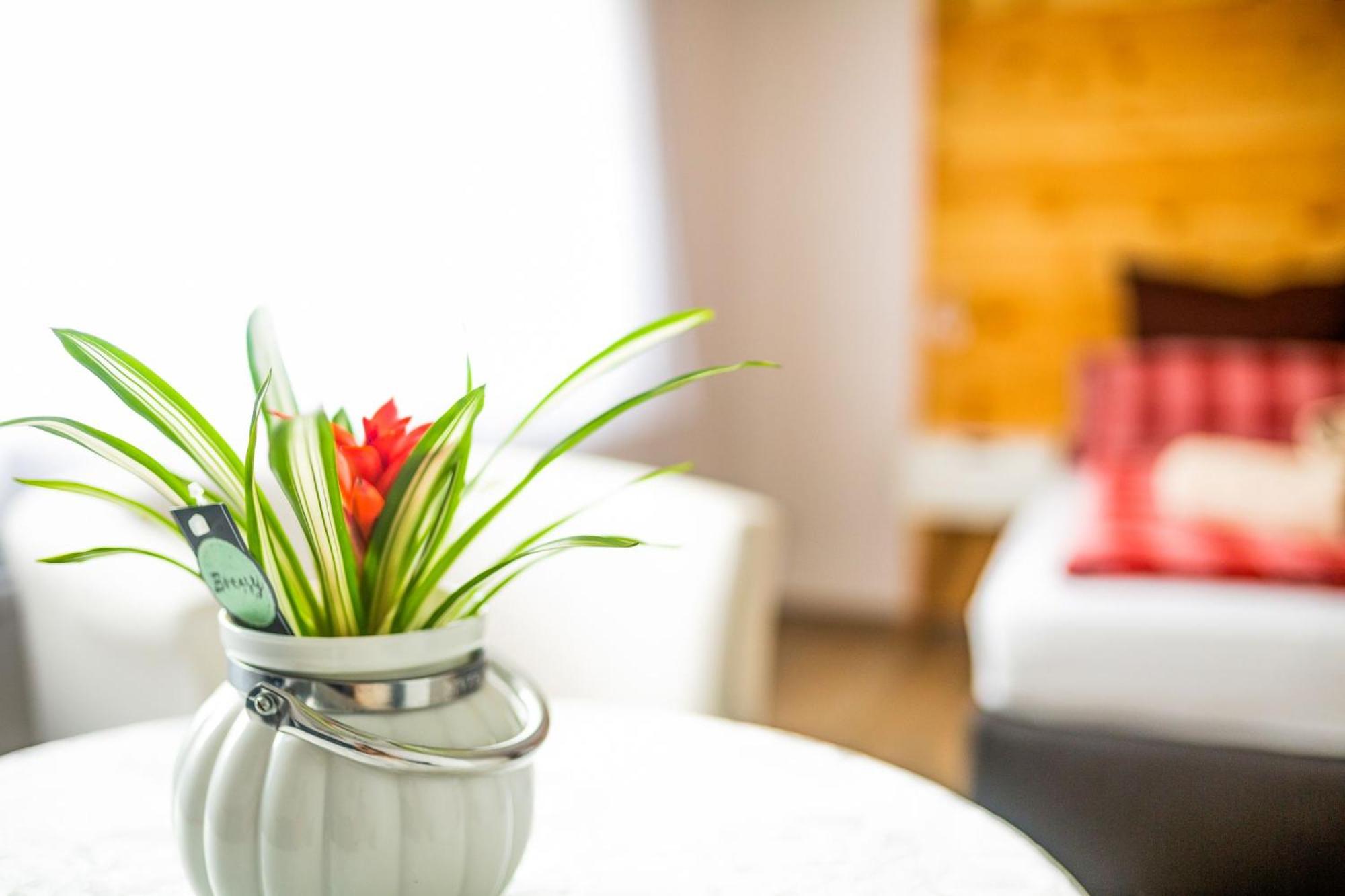 Fewo Zell 14 Pers | Sauna | Hunde erlaubt | BBQ | Massage