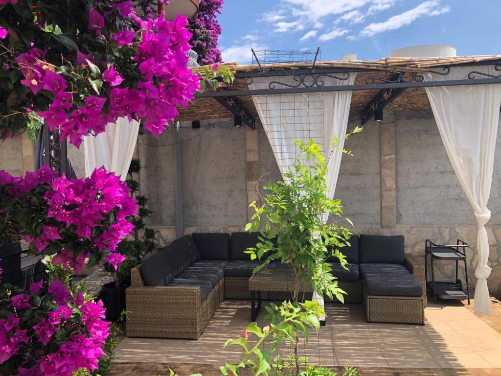Vacation home in Budva near the beach photo 3