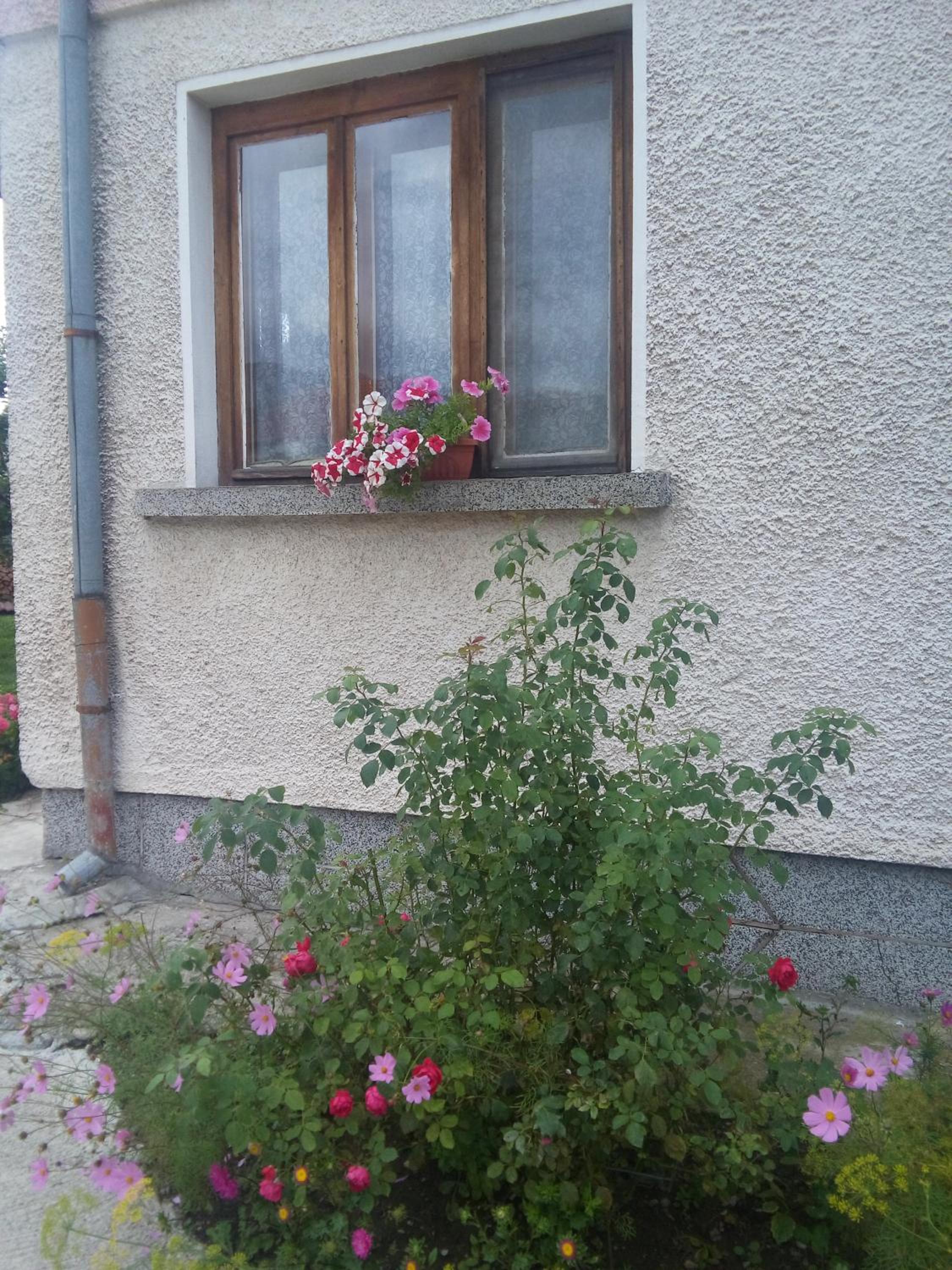 Guest House AHP