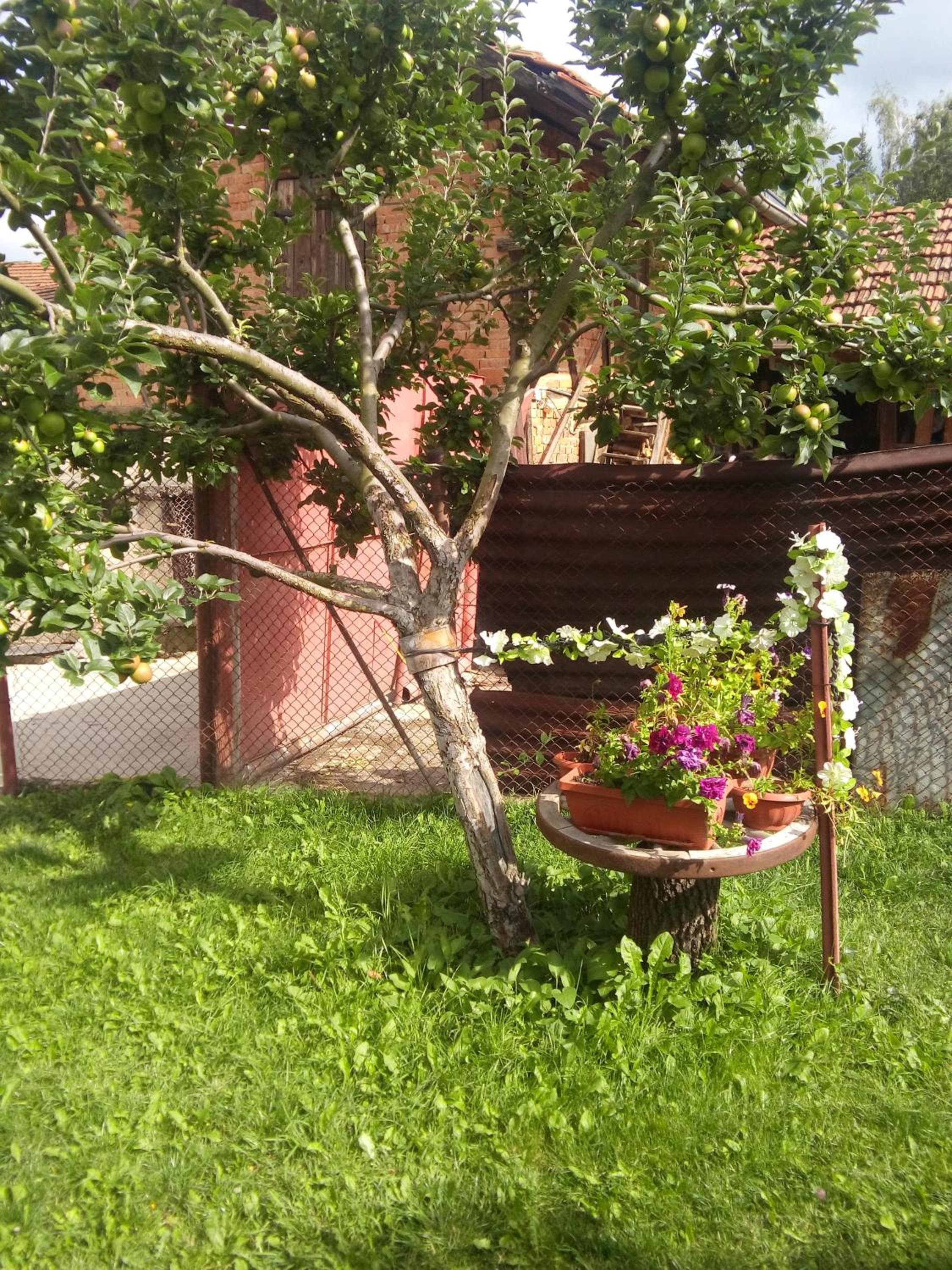 Guest House AHP