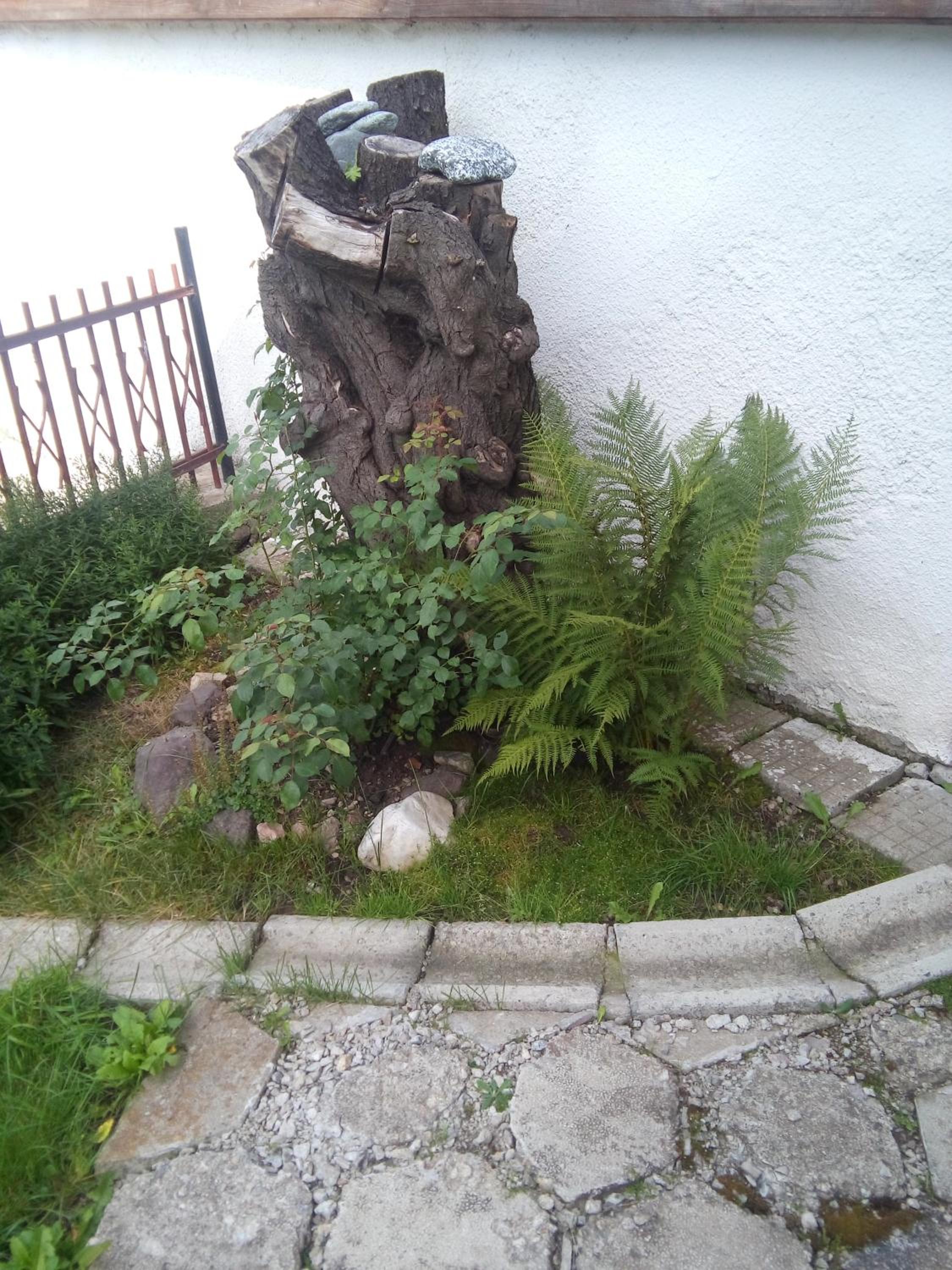 Guest House AHP
