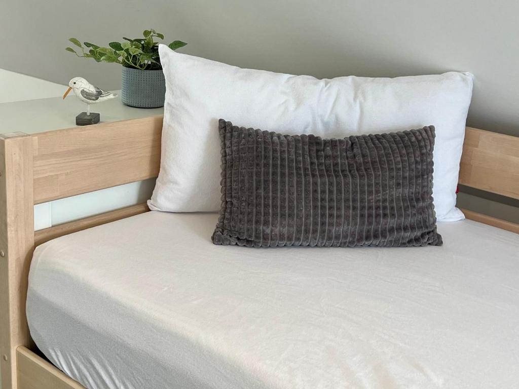 SchleiTime