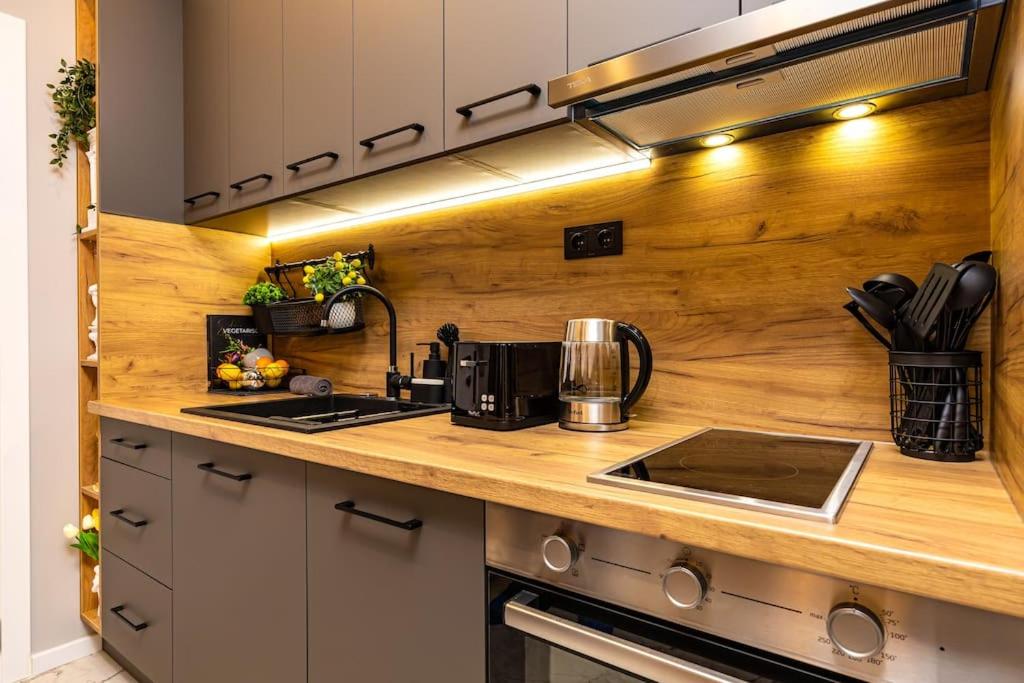 Apollo Apartment close to Medical University