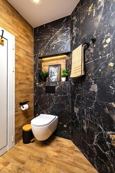 Apollo Apartment close to Medical University