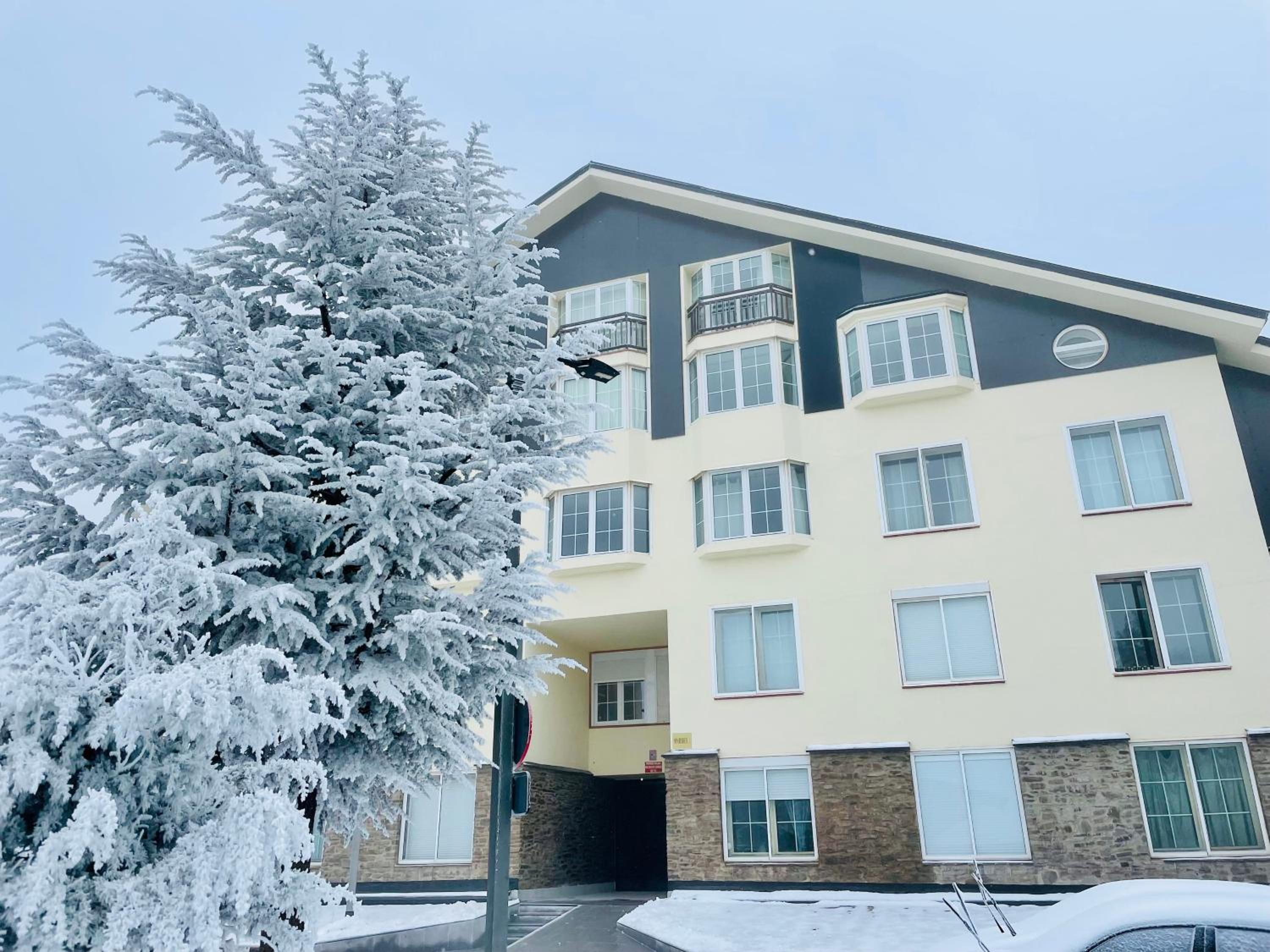 Ski-in, ski-out, FREE parking - Maribel Chic Shack