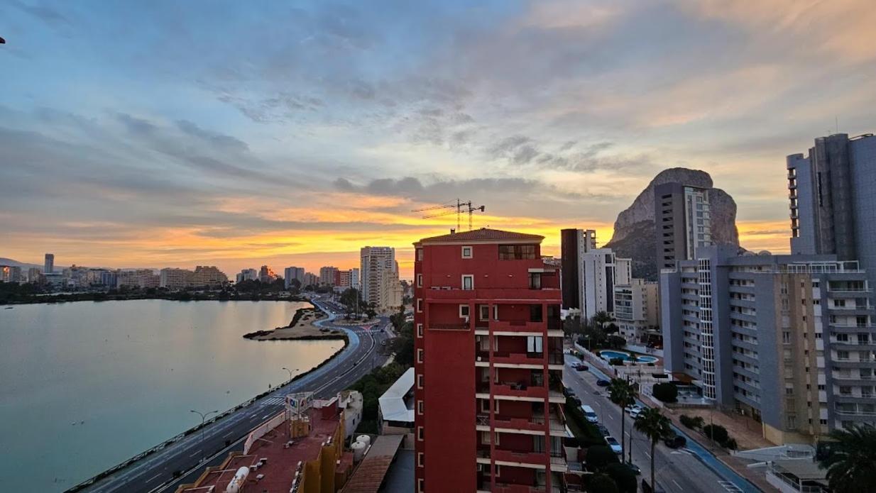 Atlantico Flamingo