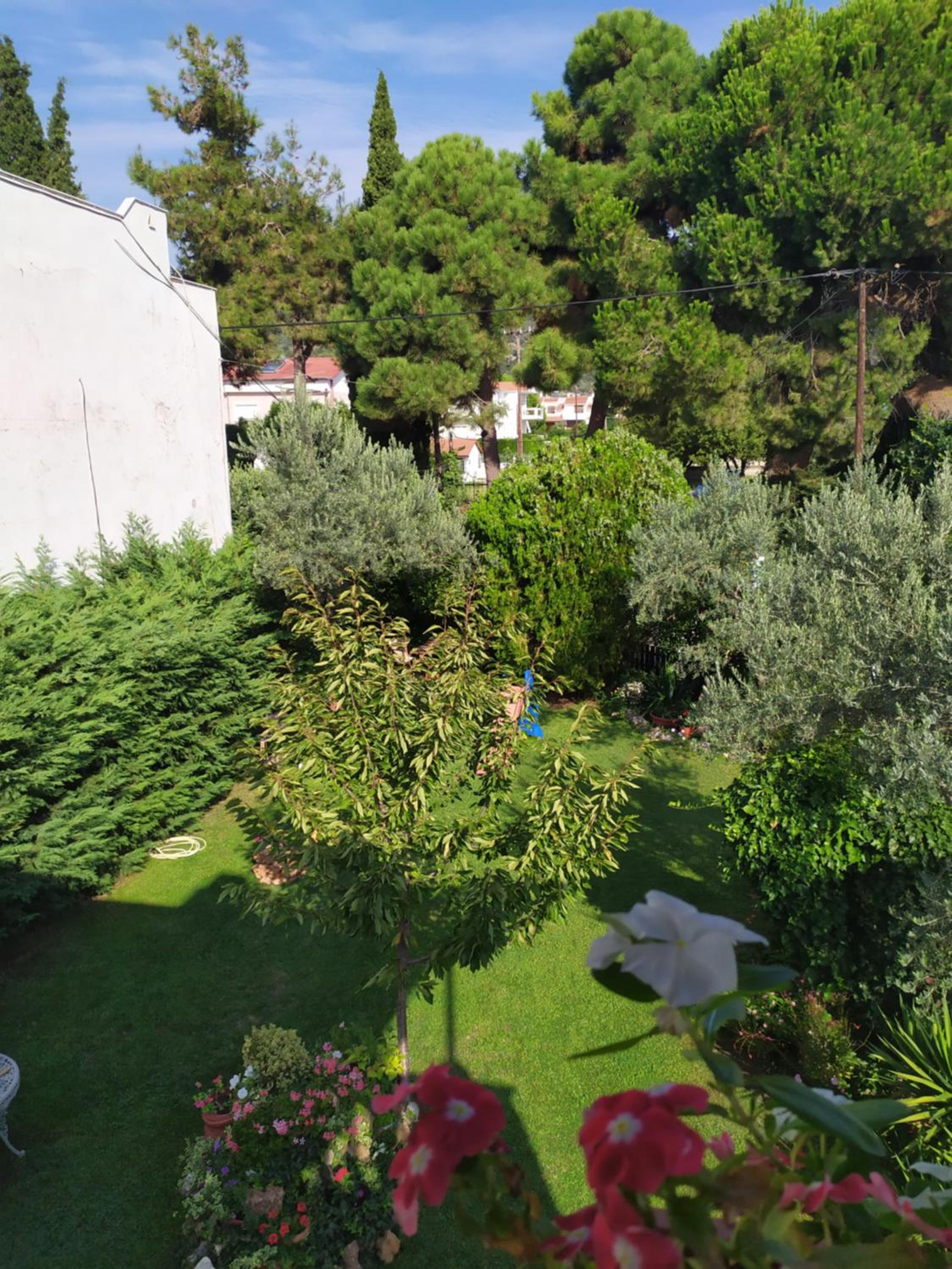 beach house Blue Sea view 5
