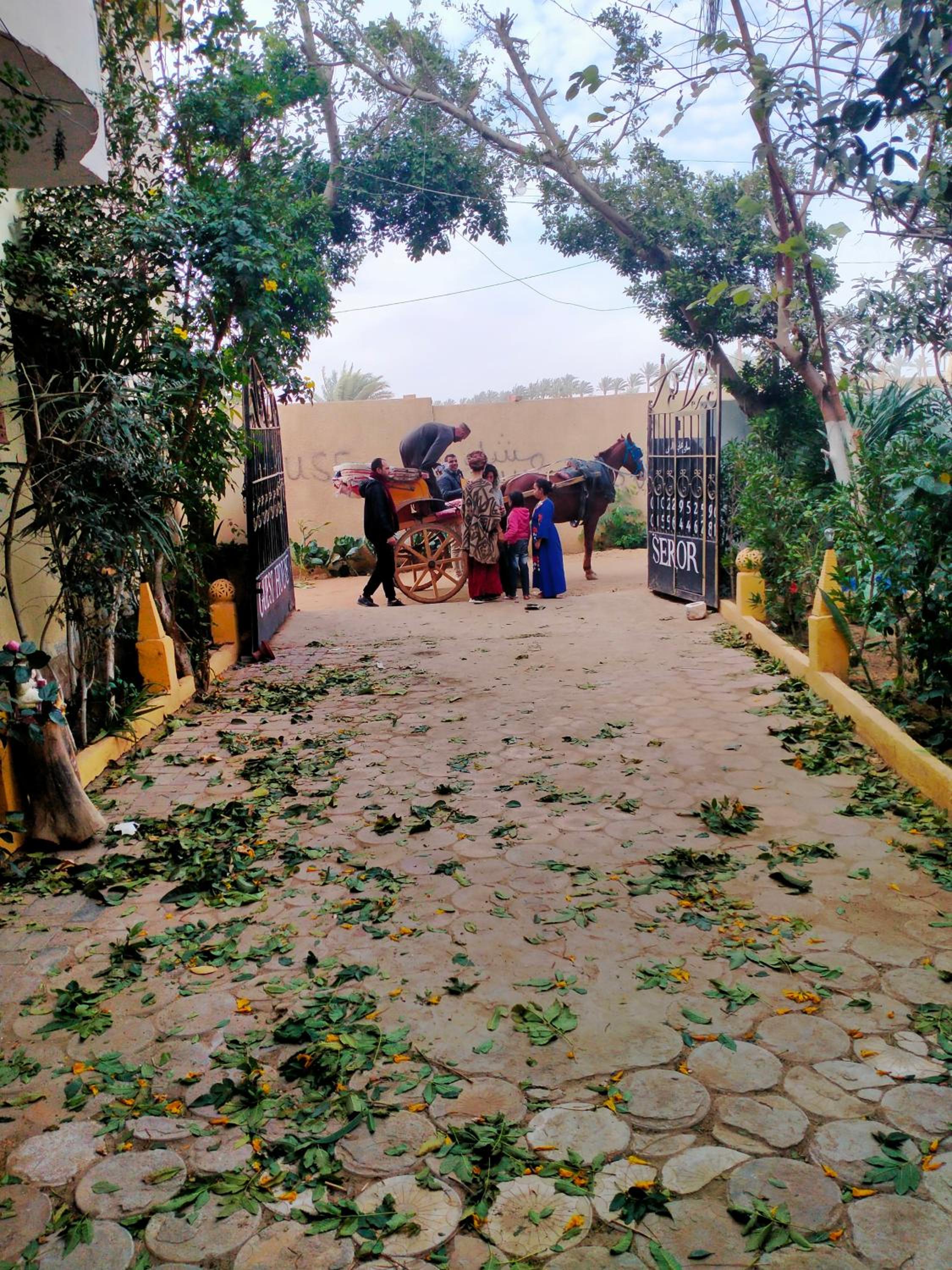 Seror Guest House