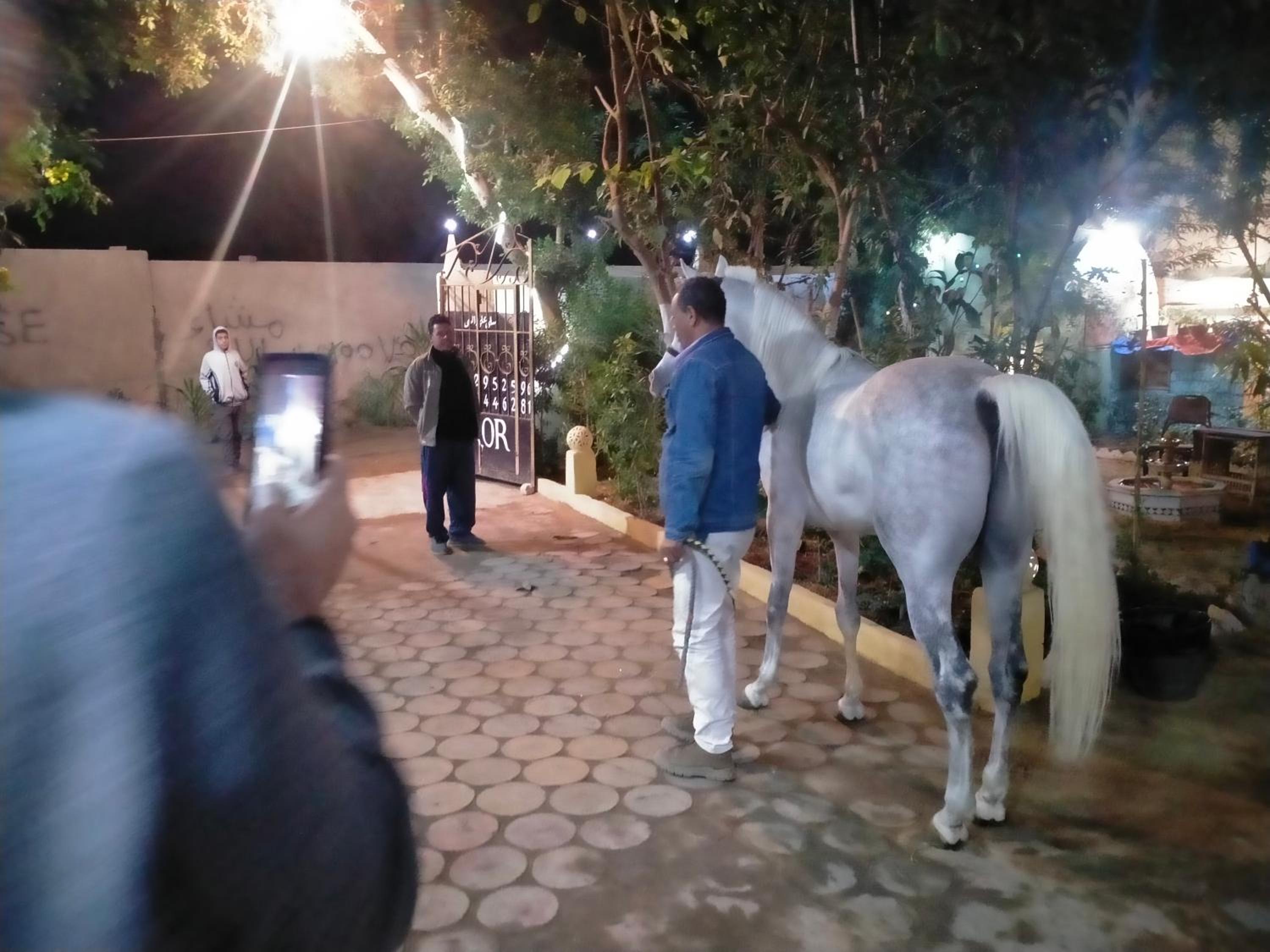 Seror Guest House