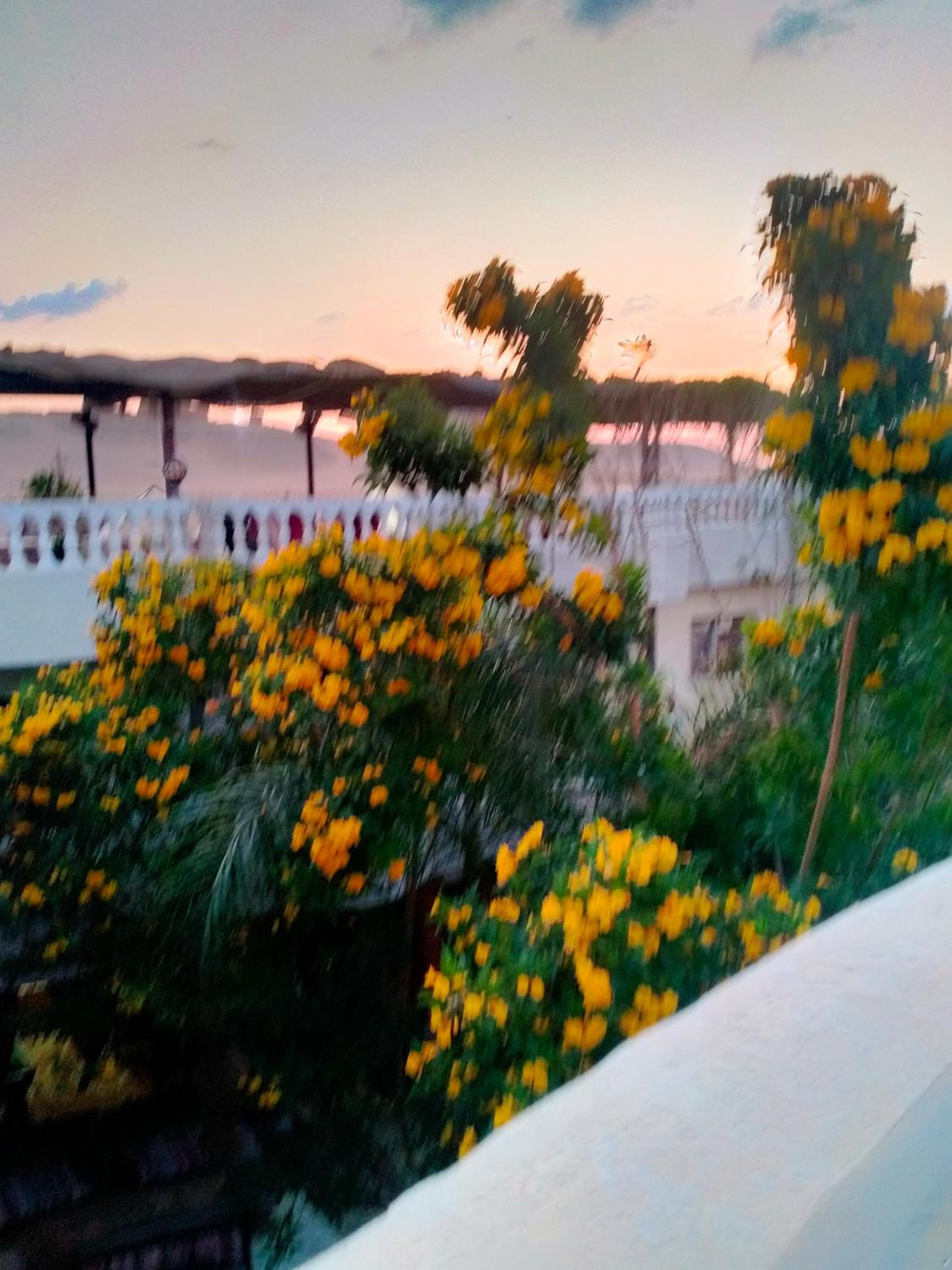 Seror Guest House