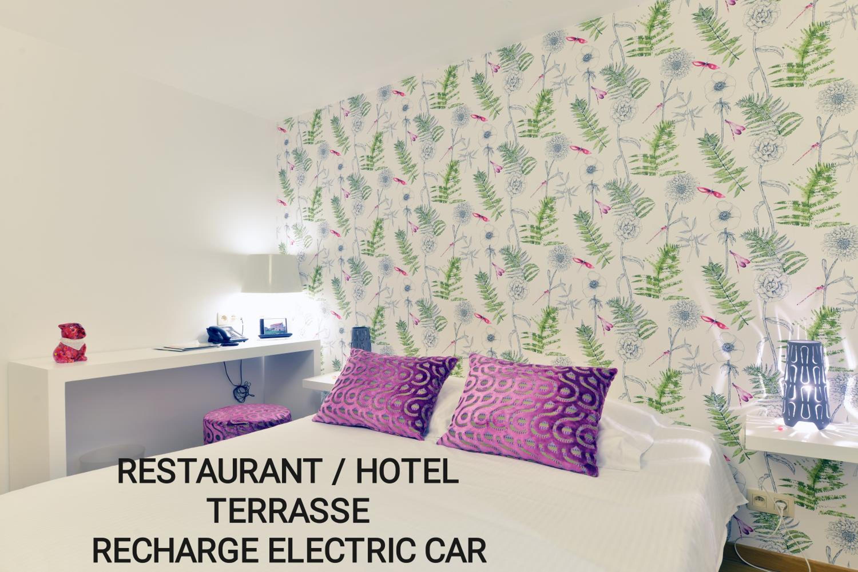 Hotel Durbuy Ô Restaurant Hotel Recharge Electric Car - Image 1