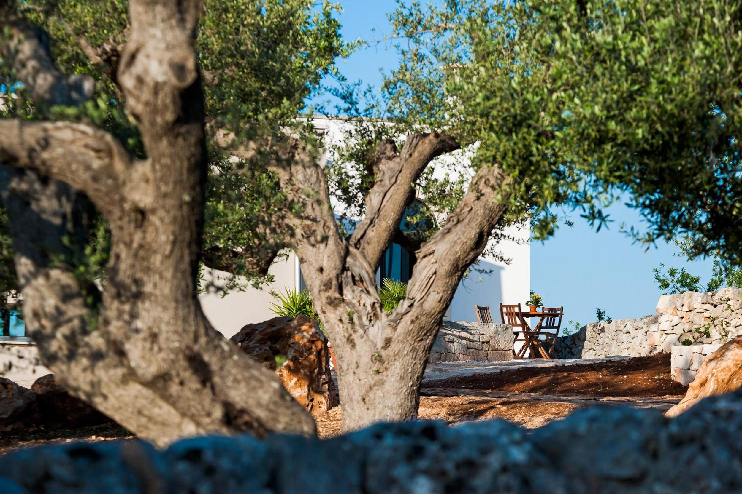 Villa Apulia with pool