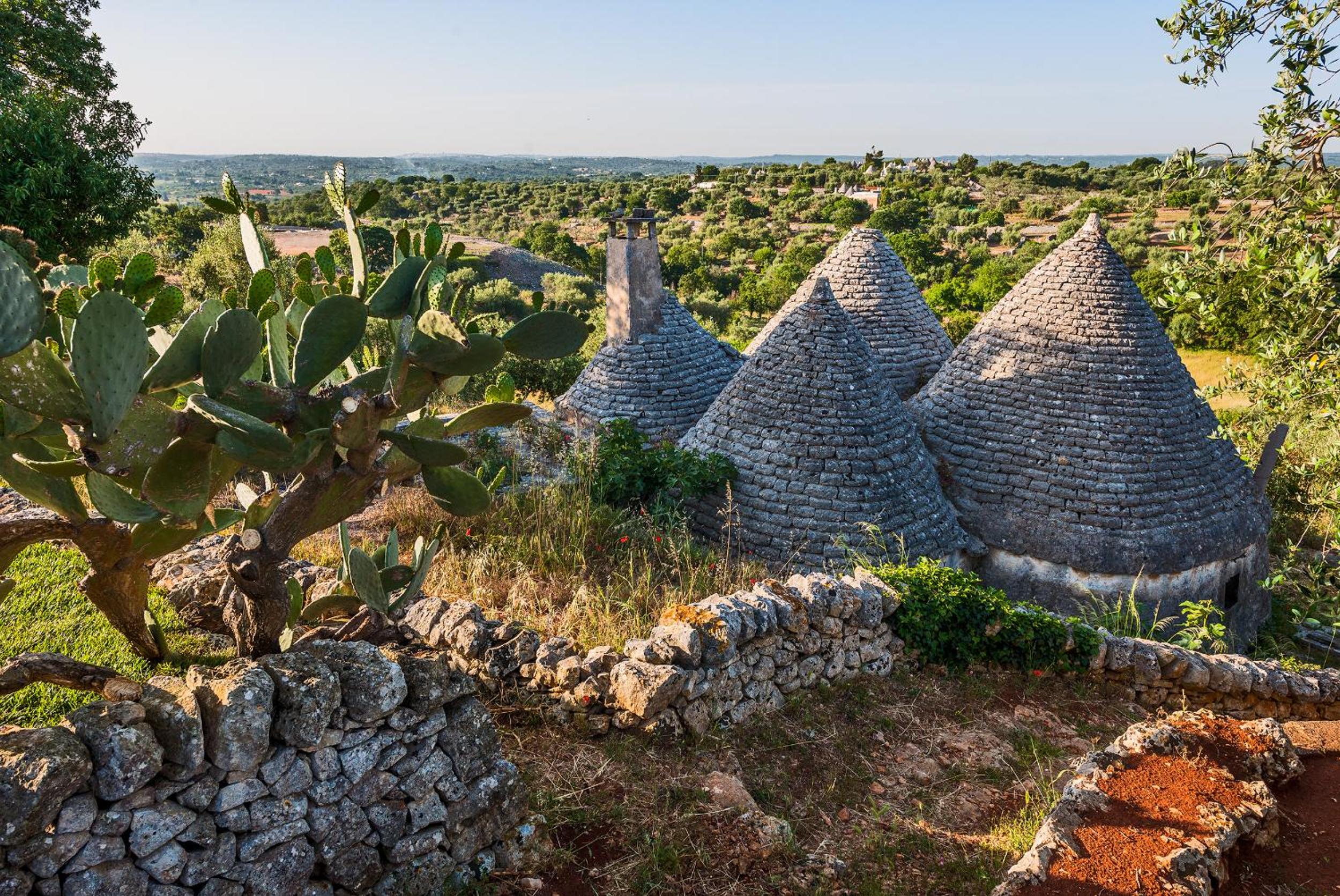 Villa Apulia with pool