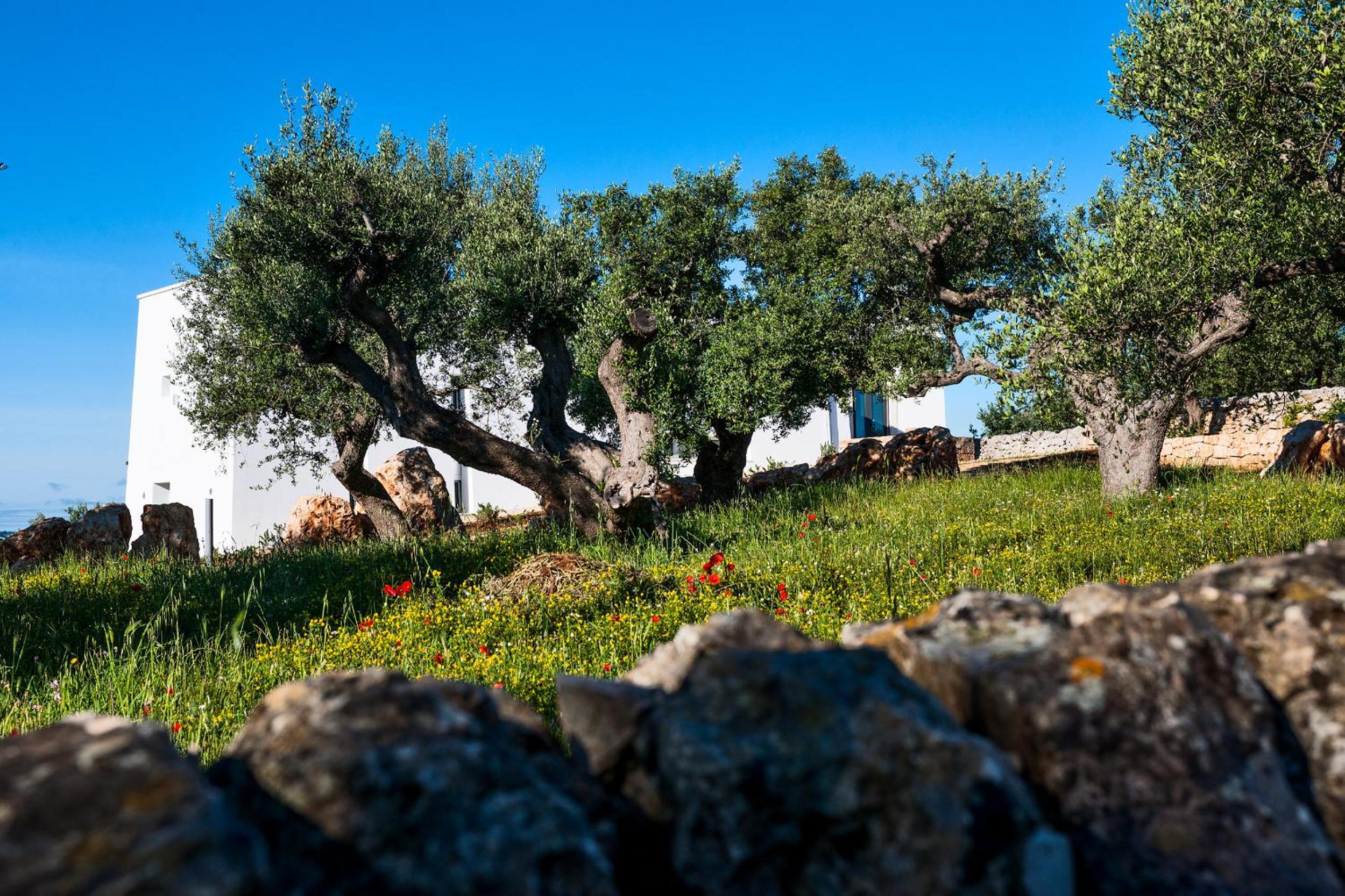Villa Apulia with pool